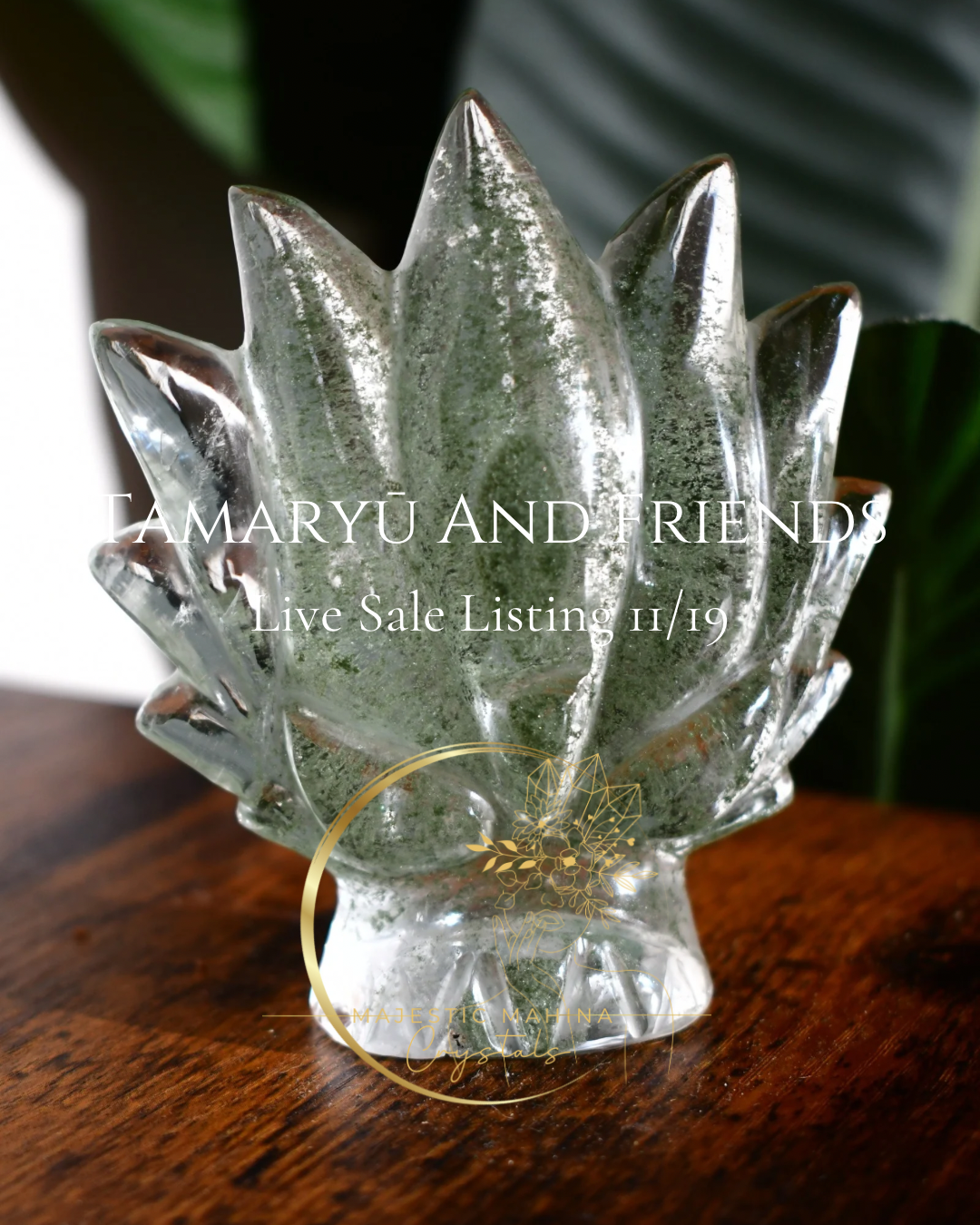 @sea.siren.hippie1111