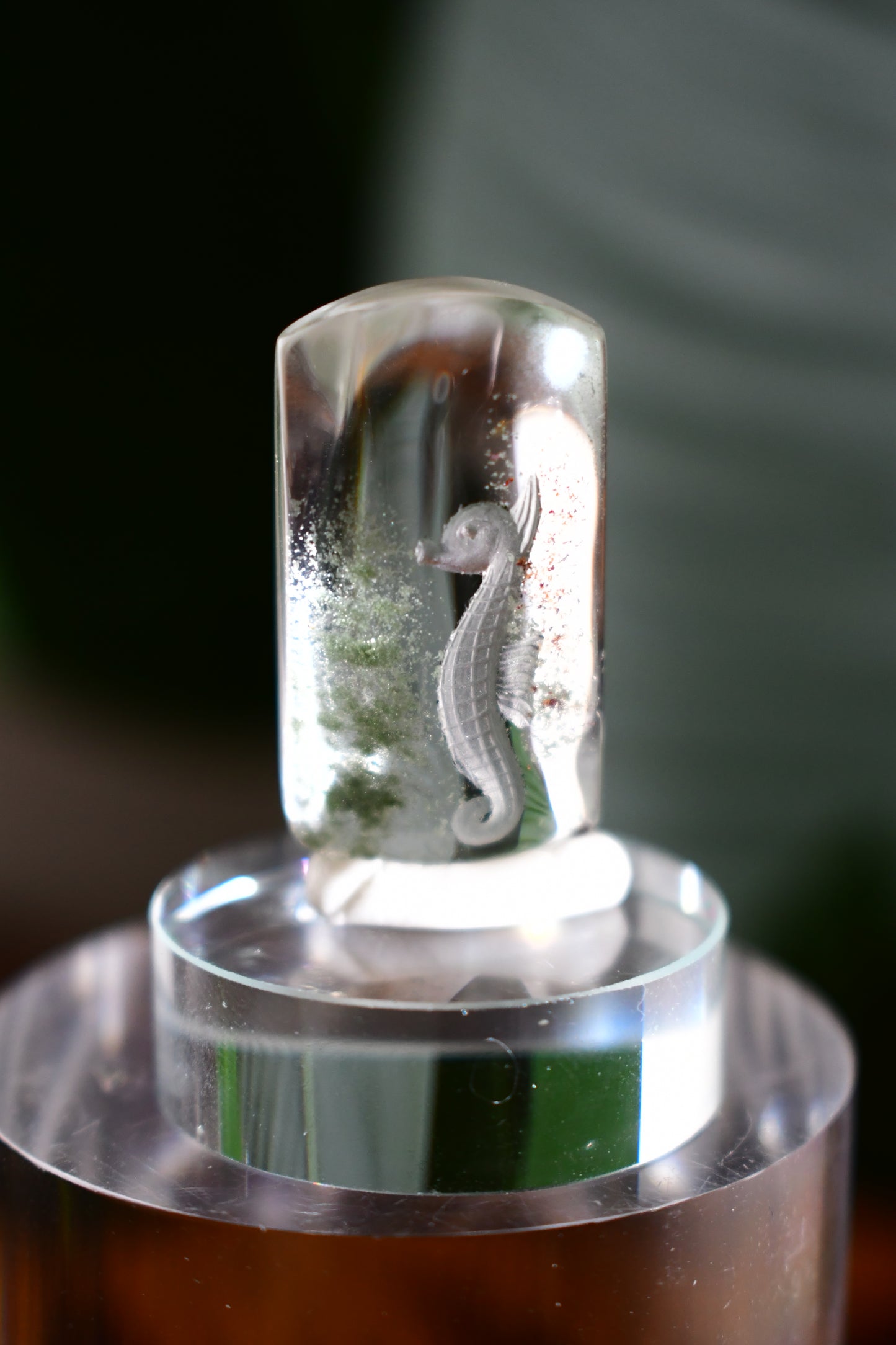 “Seahorse” High-Quality Lodalite Quartz Etched Carvings