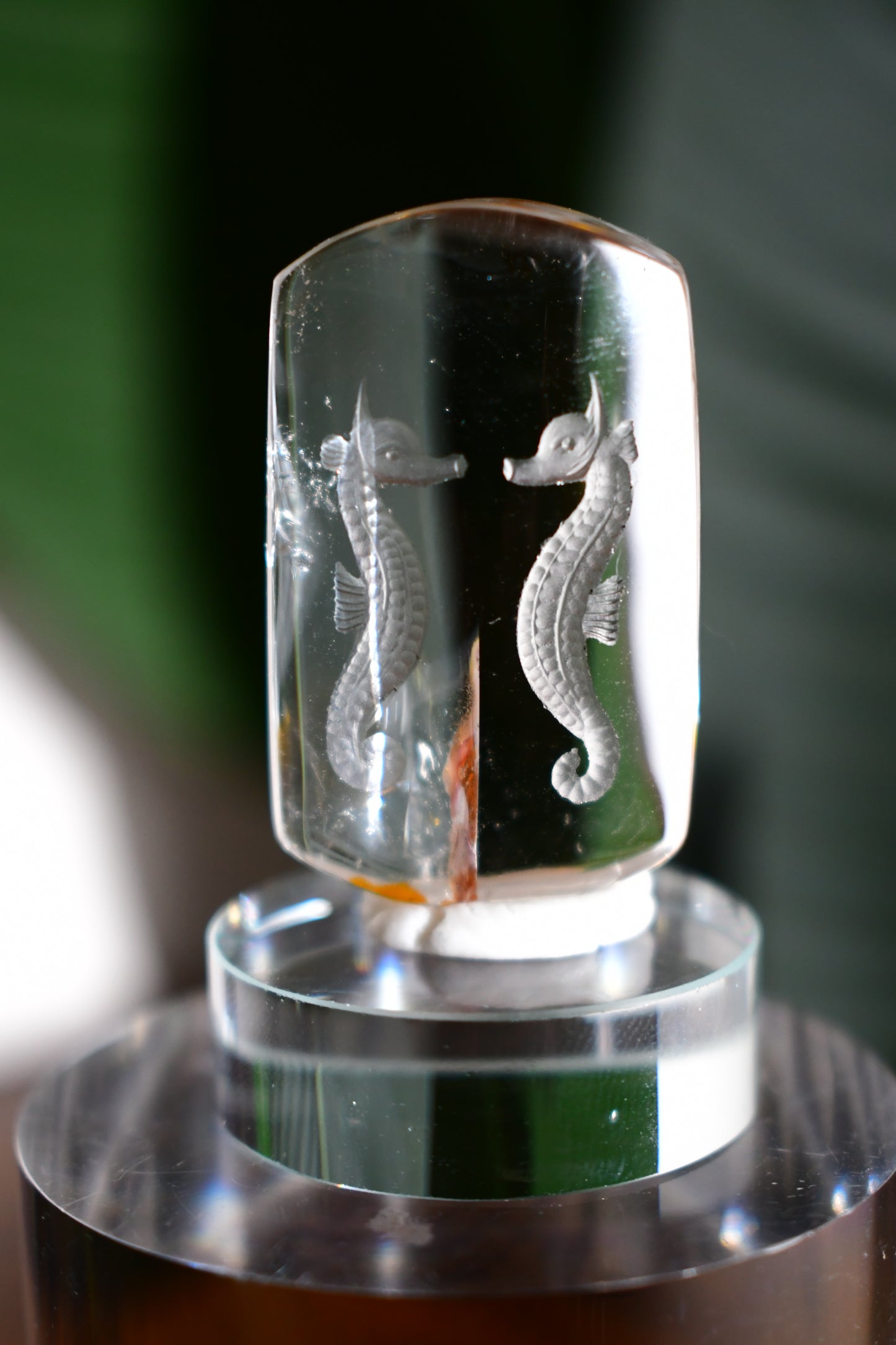 “Seahorse” High-Quality Lodalite Quartz Etched Carvings