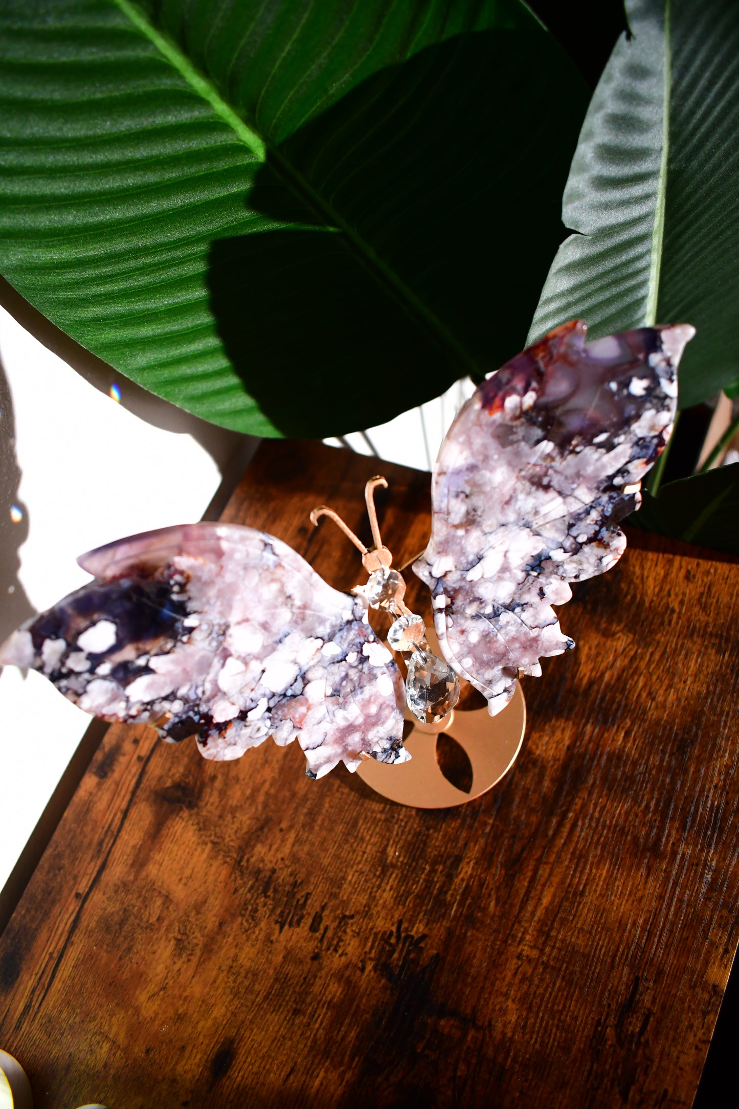 Black Flower Agate Butterfly Wings
