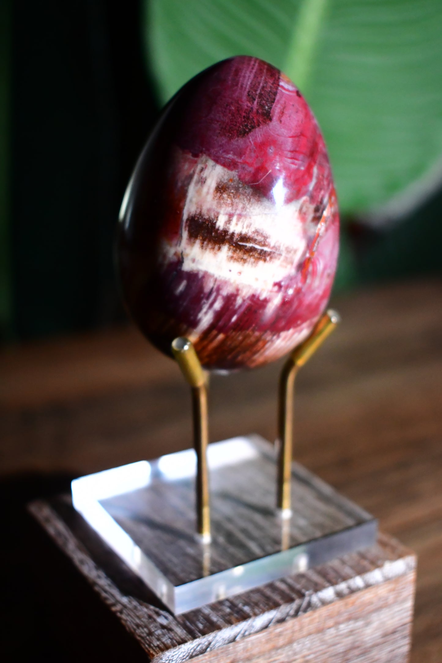 Petrified Wood Egg Carving