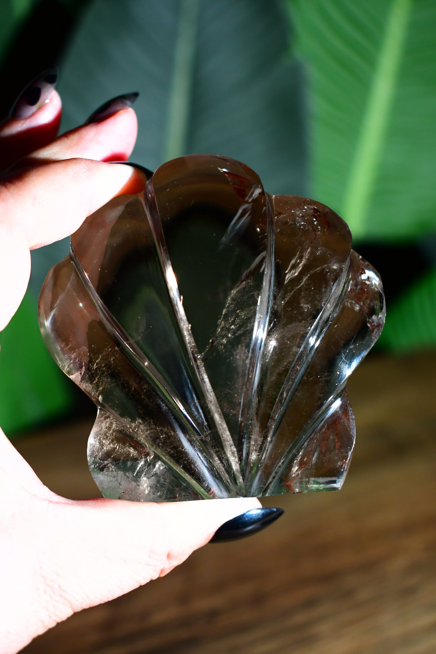 Smoky Quartz Self Standing Sunrise Seashell 01