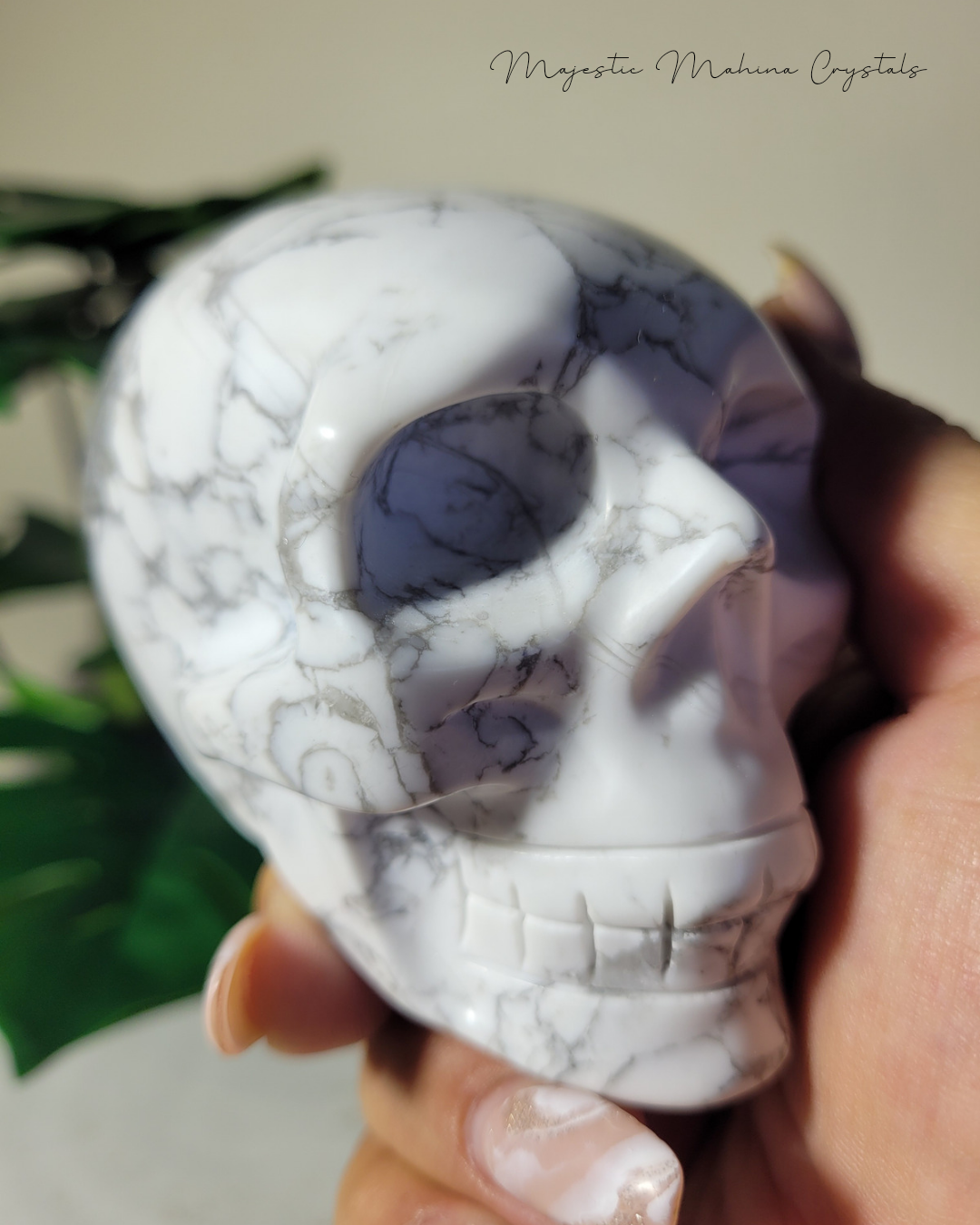Howlite Skull