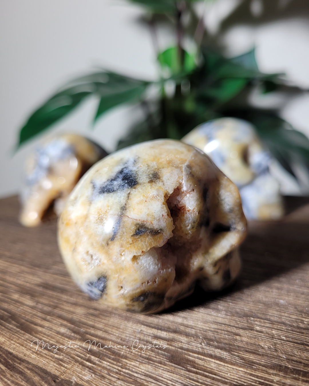 Yellow Chalcedony with Zebra Jasper Skull