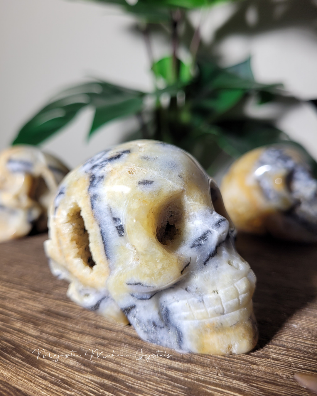 Yellow Chalcedony with Zebra Jasper Skull