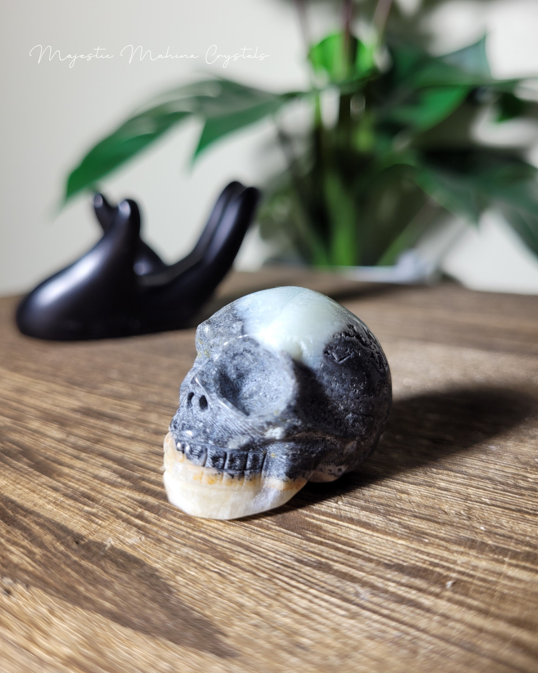 Zebra Jasper Mini Skull