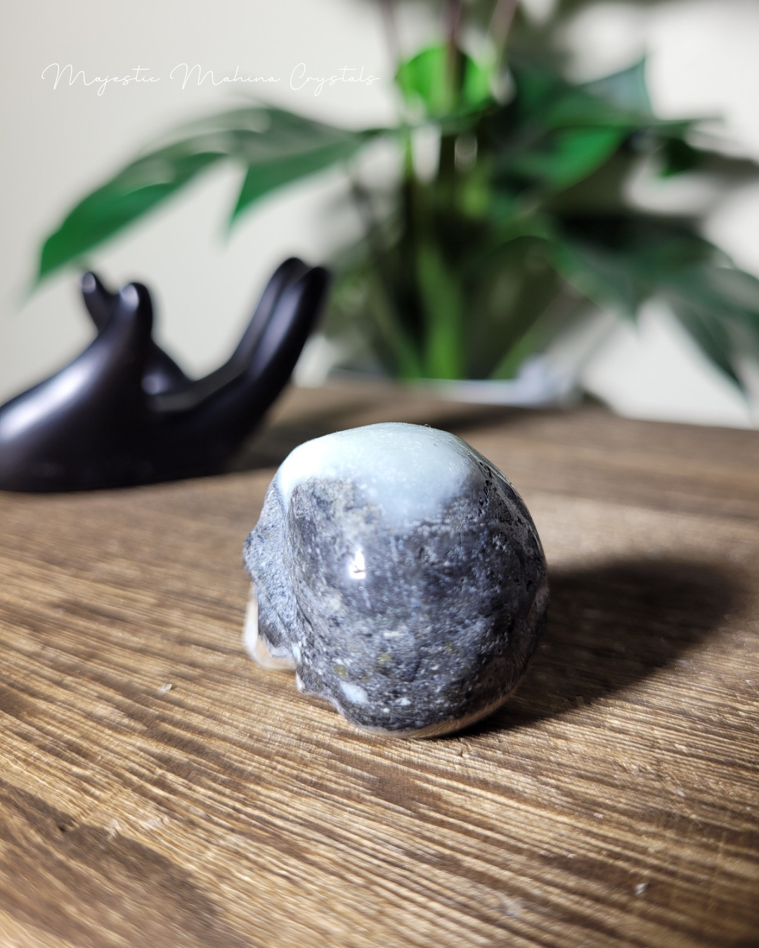 Zebra Jasper Mini Skull