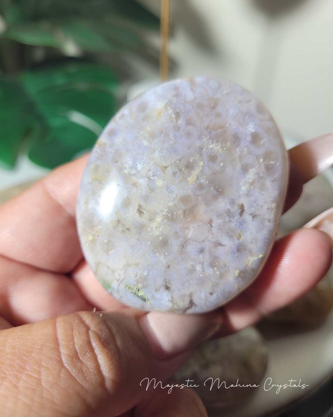 Flower Agate Palms