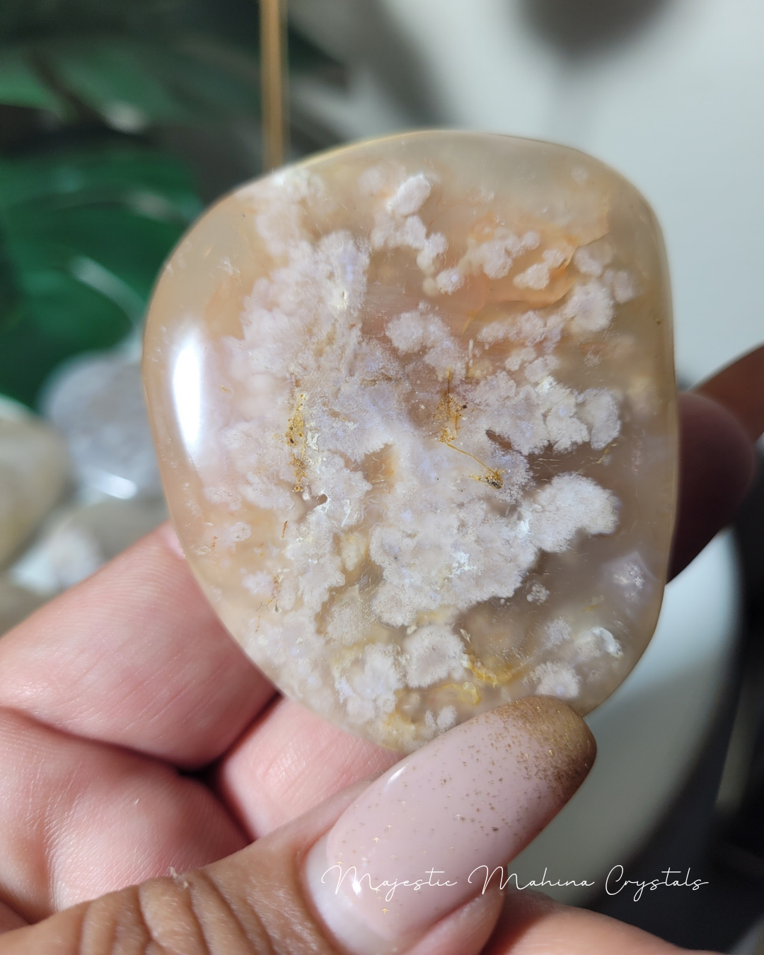 Flower Agate Palms