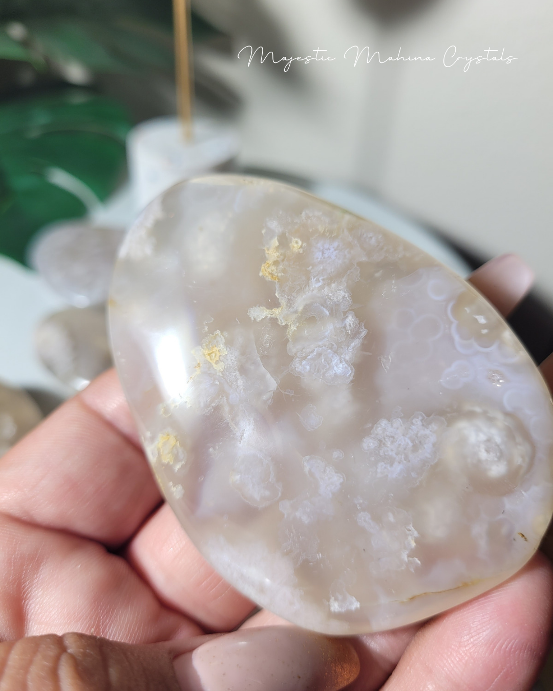 Flower Agate Palms