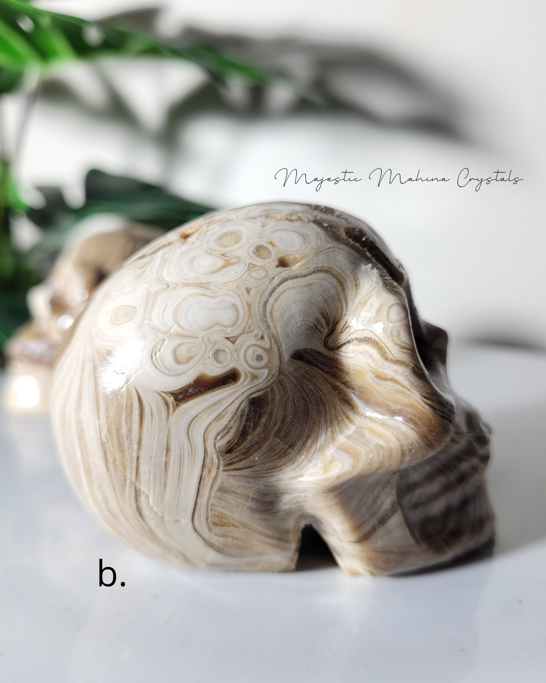 Chocolate Calcite Skull