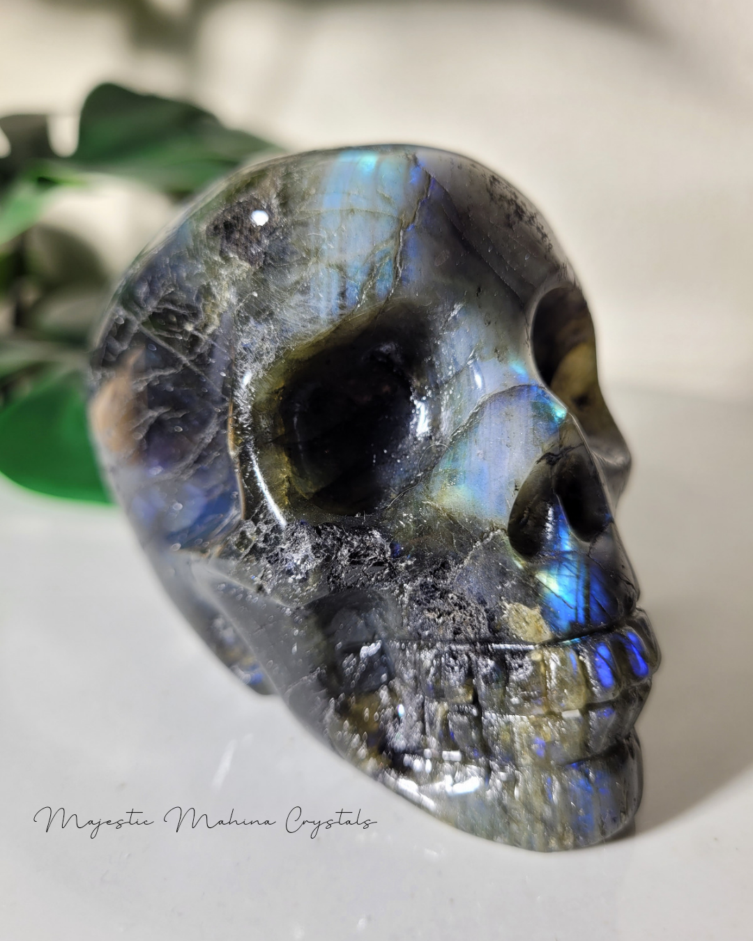 Labadorite Skull