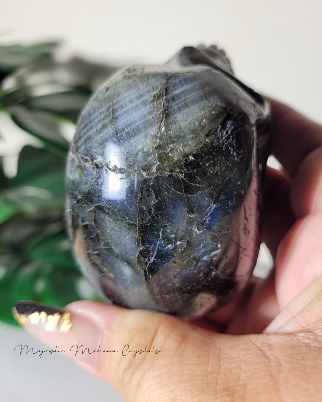 Labadorite Skull