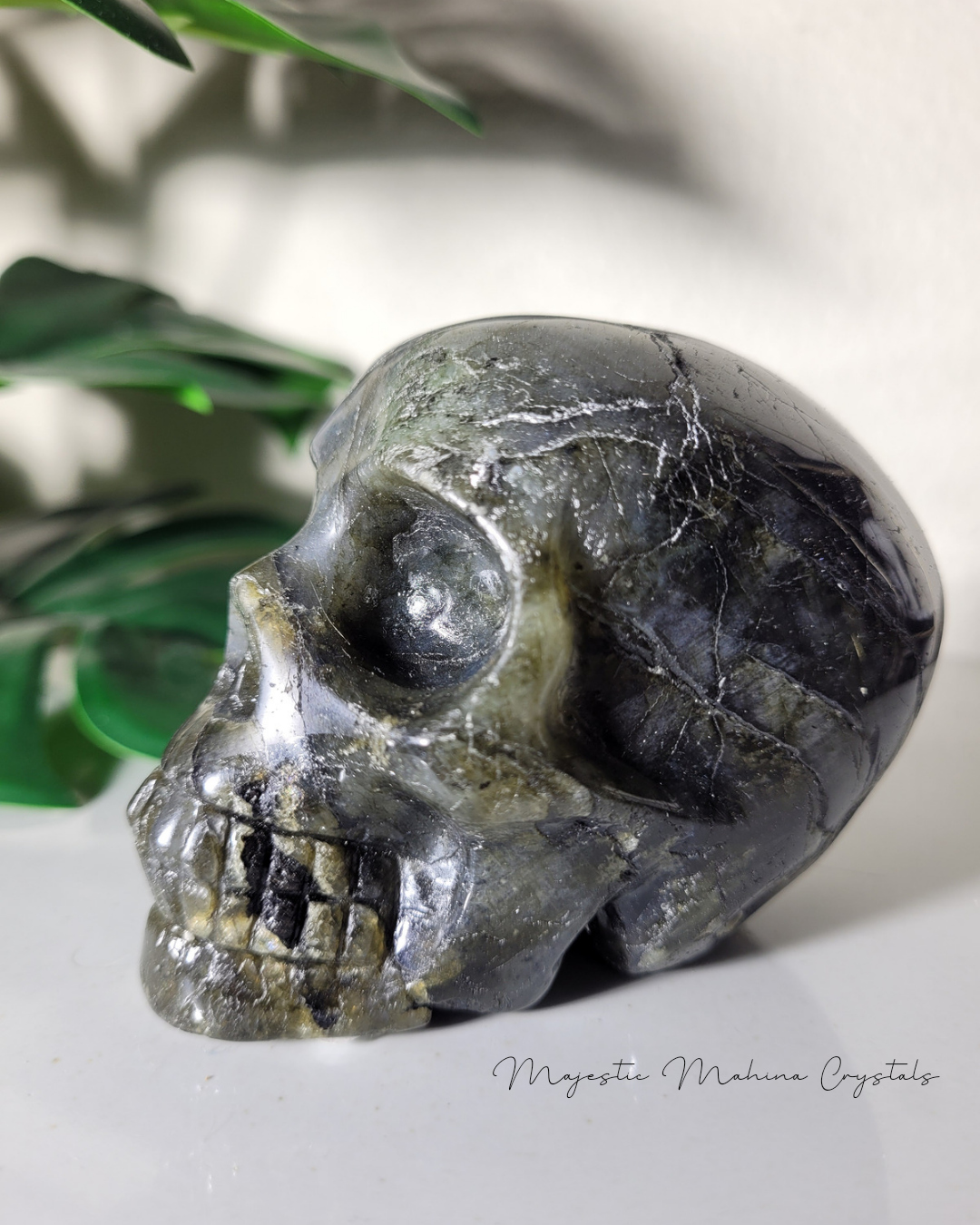 Labadorite Skull
