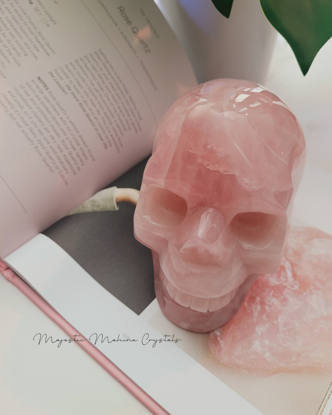 Rose Quartz Skull