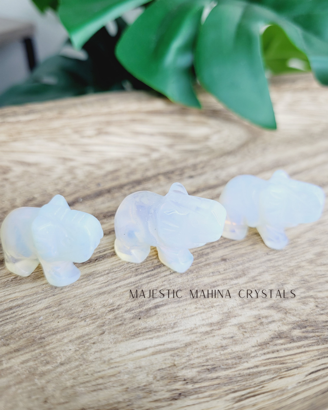 Mini Elephant Carvings