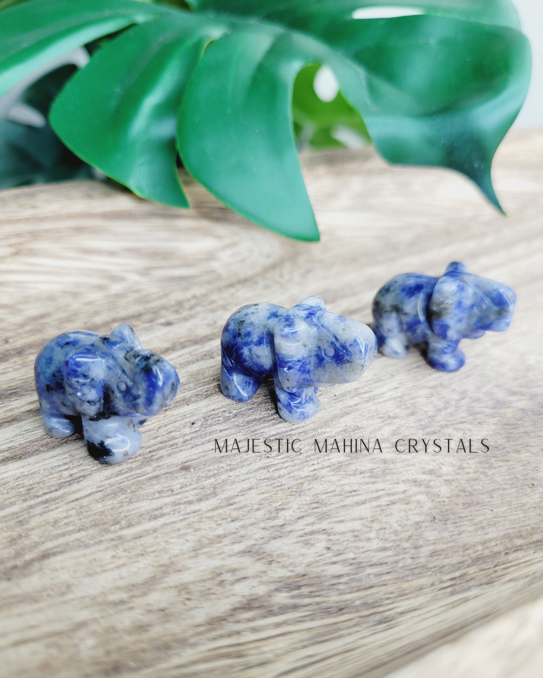 Mini Elephant Carvings