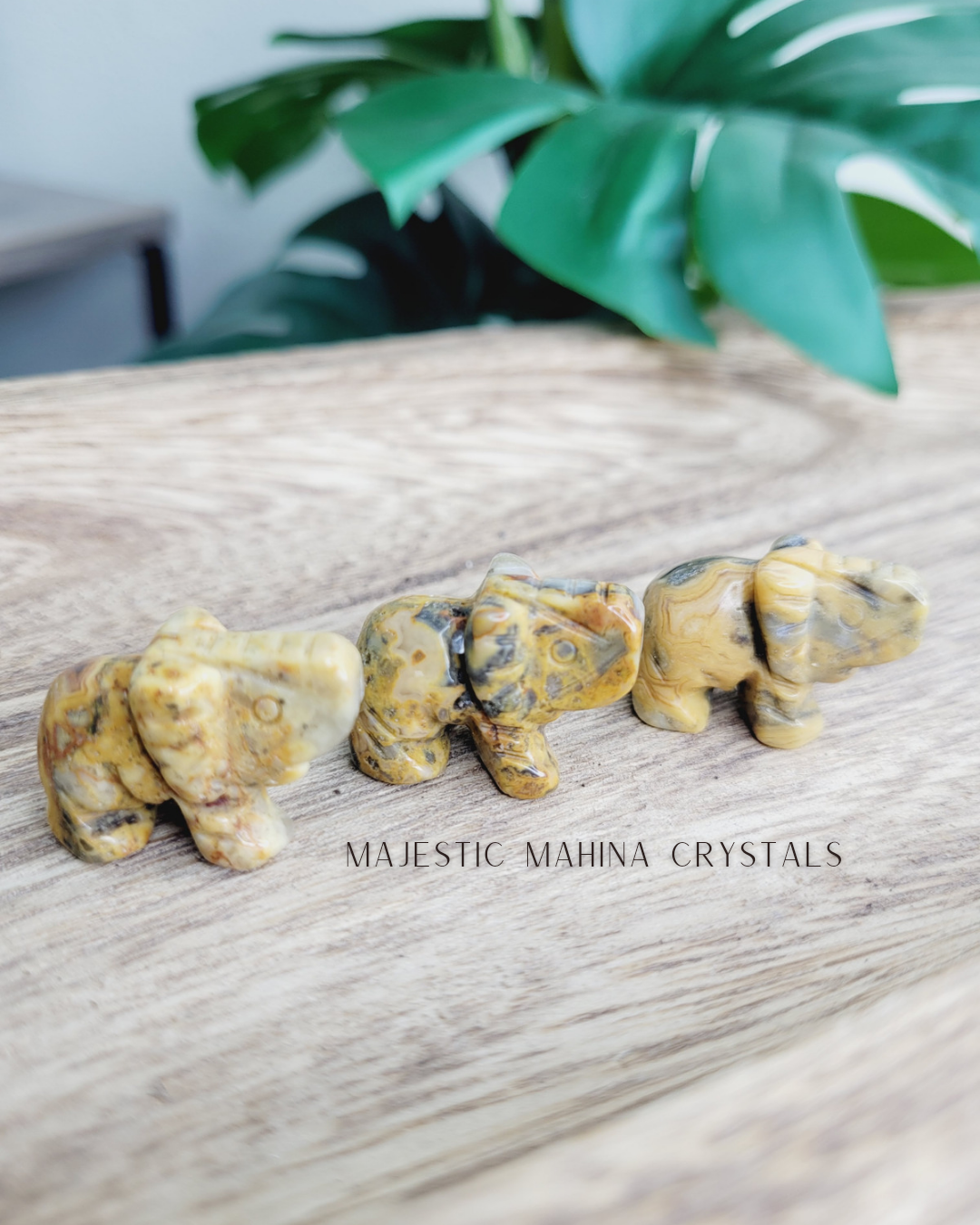 Mini Elephant Carvings