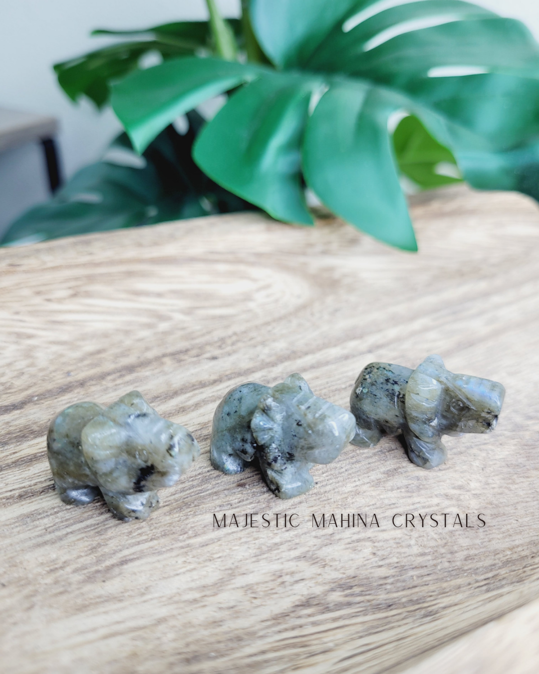 Mini Elephant Carvings