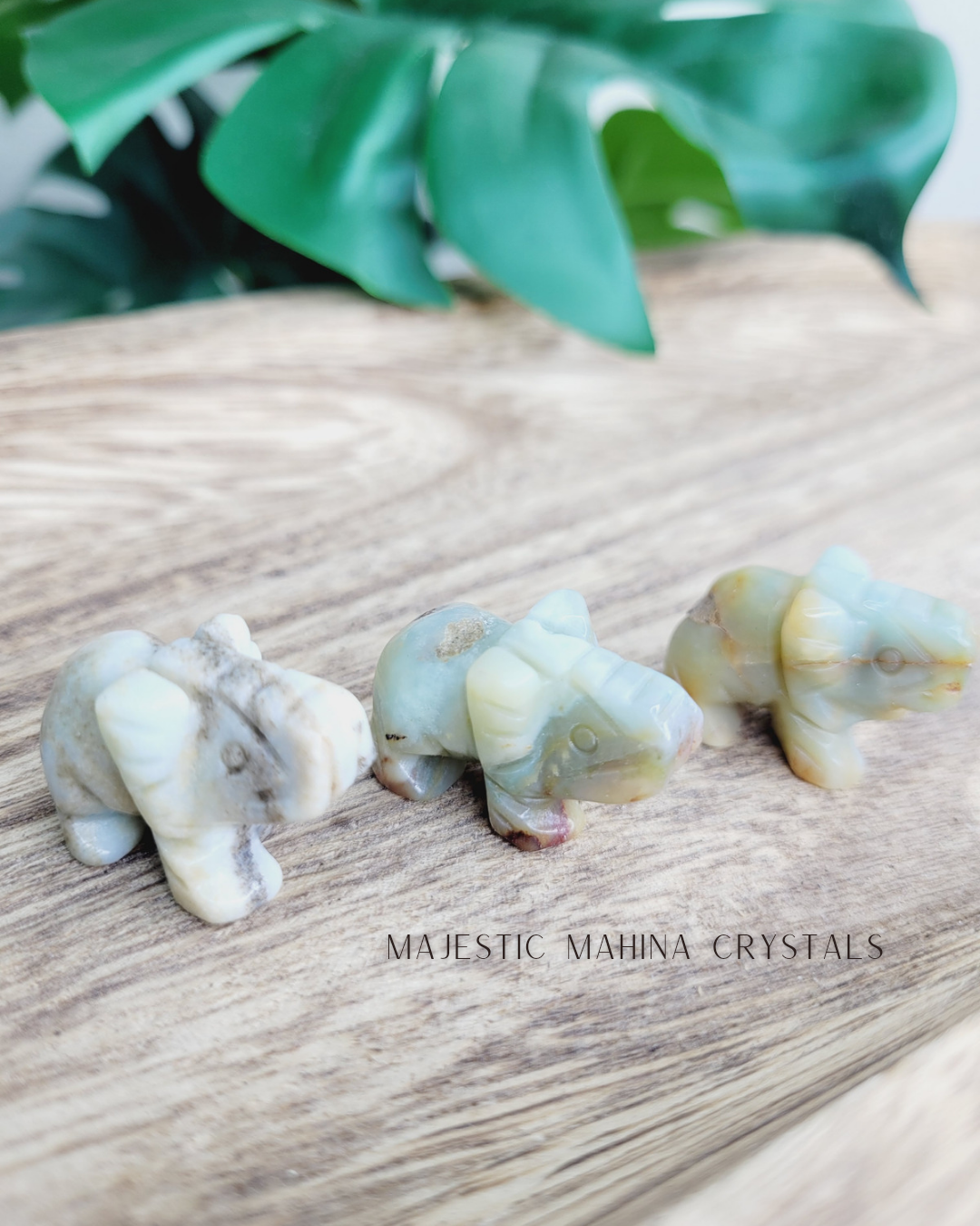 Mini Elephant Carvings