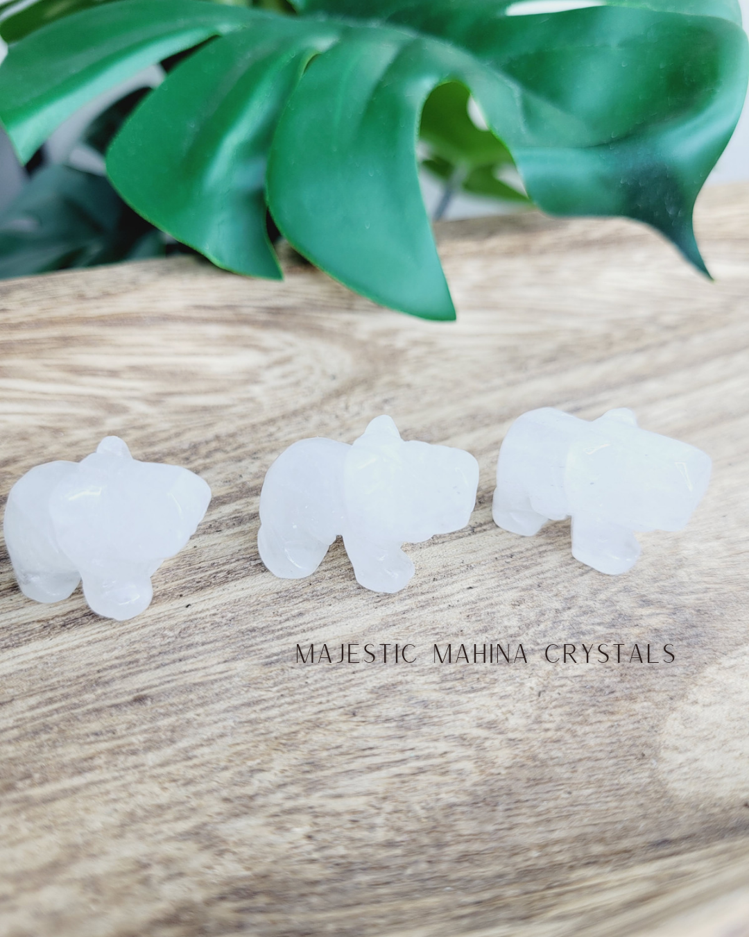 Mini Elephant Carvings