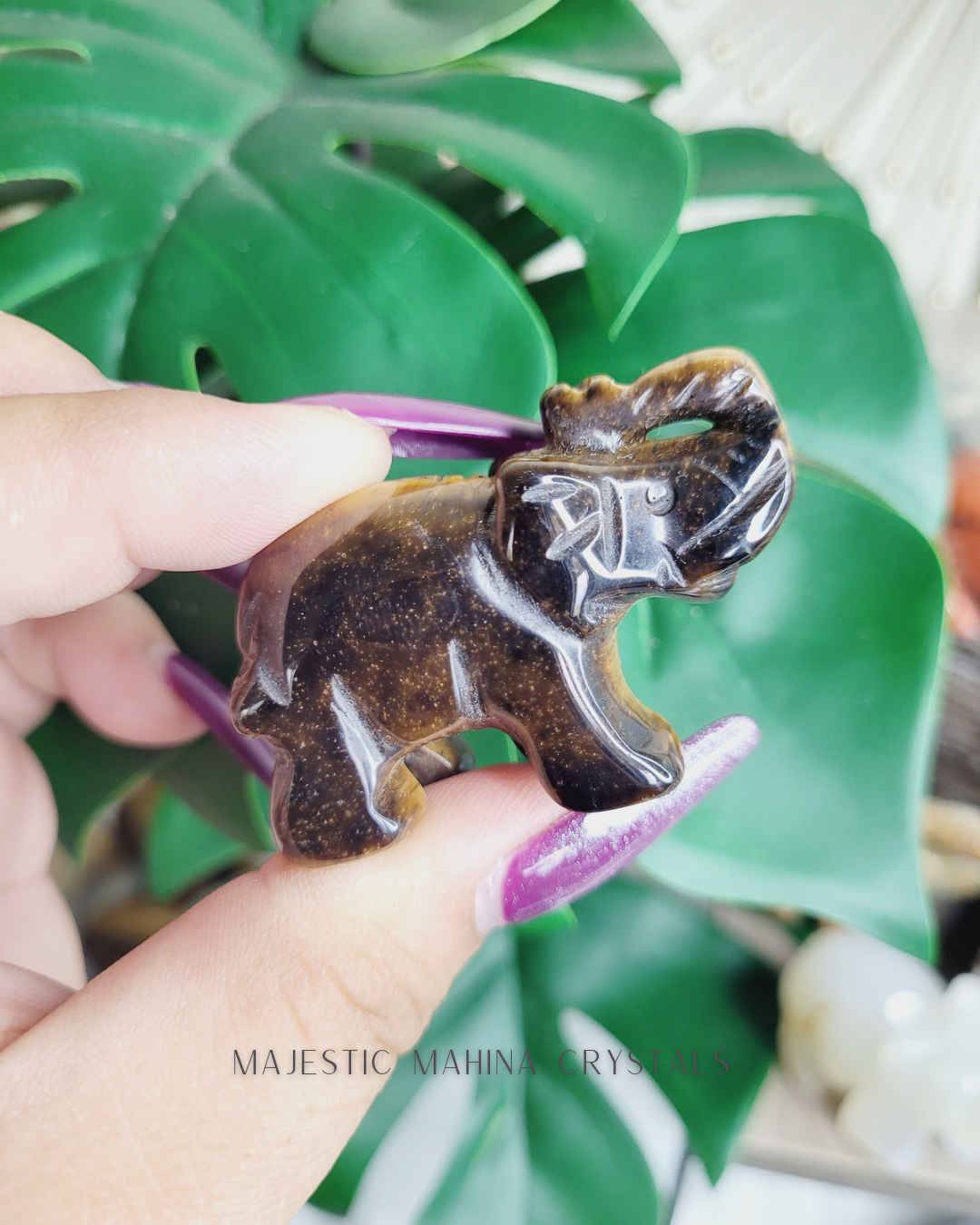 Elephant Carvings