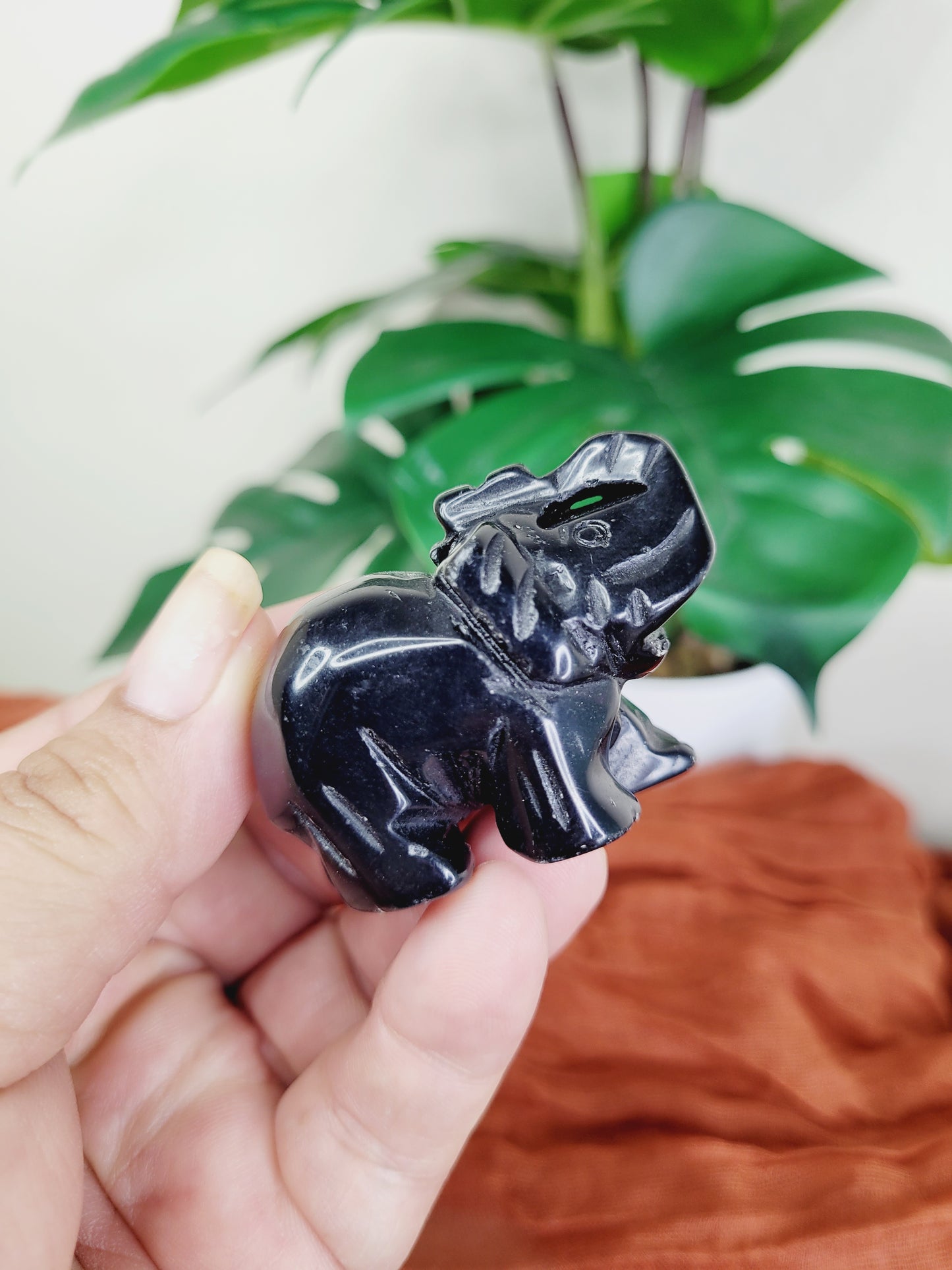 Elephant Carvings