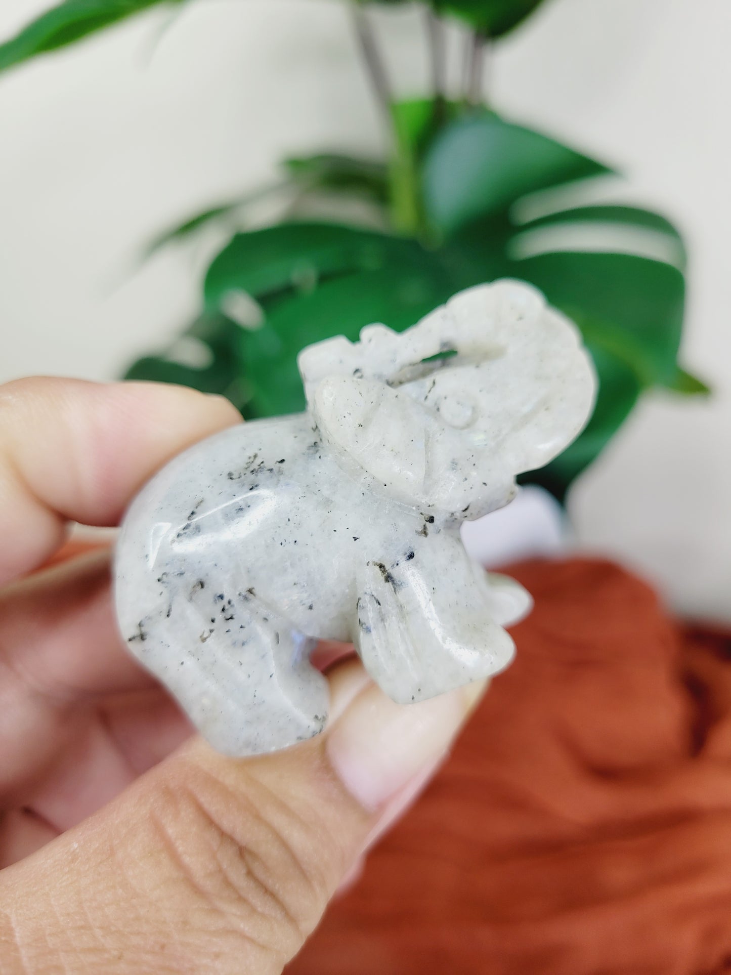 Elephant Carvings