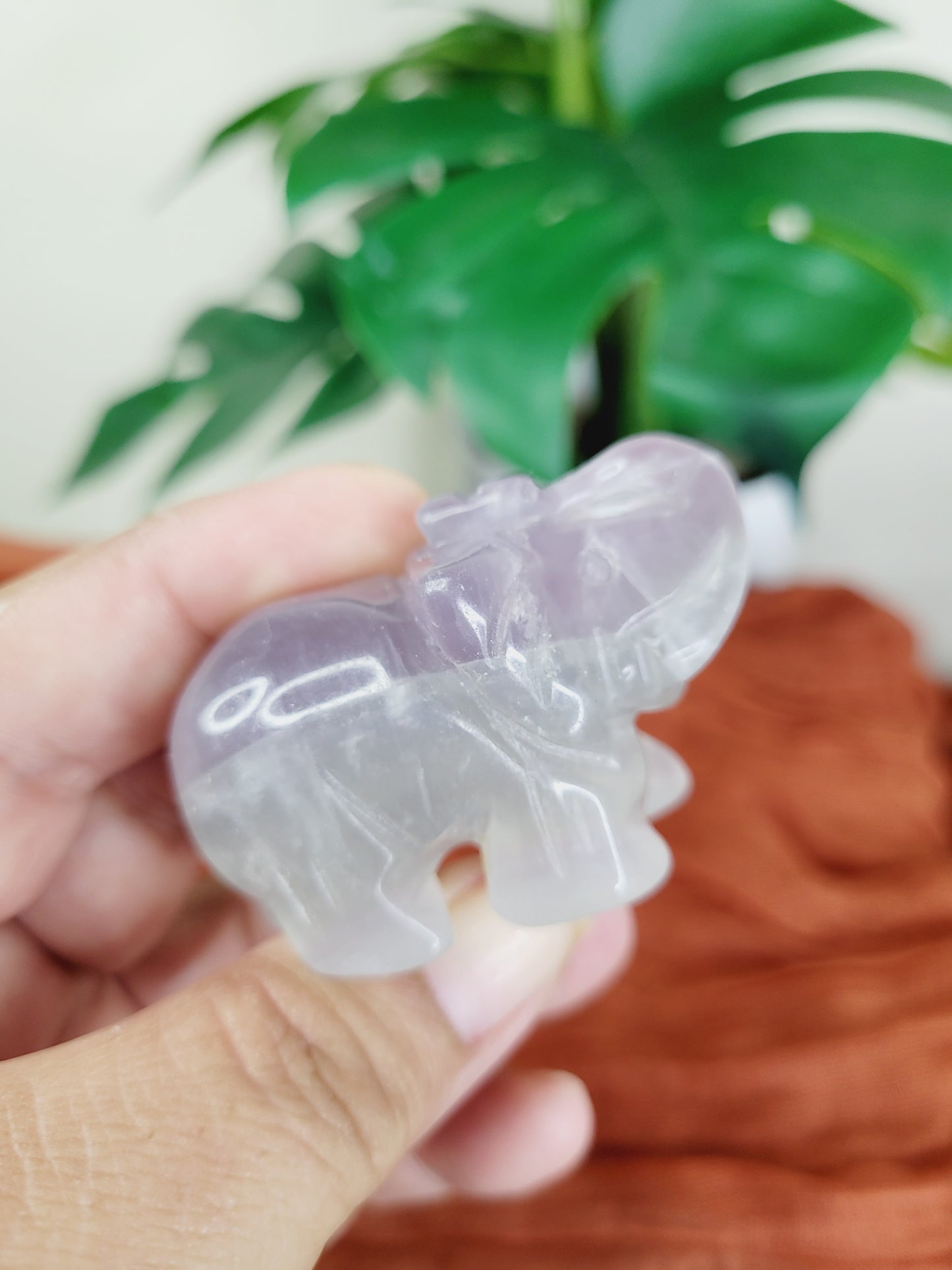 Elephant Carvings