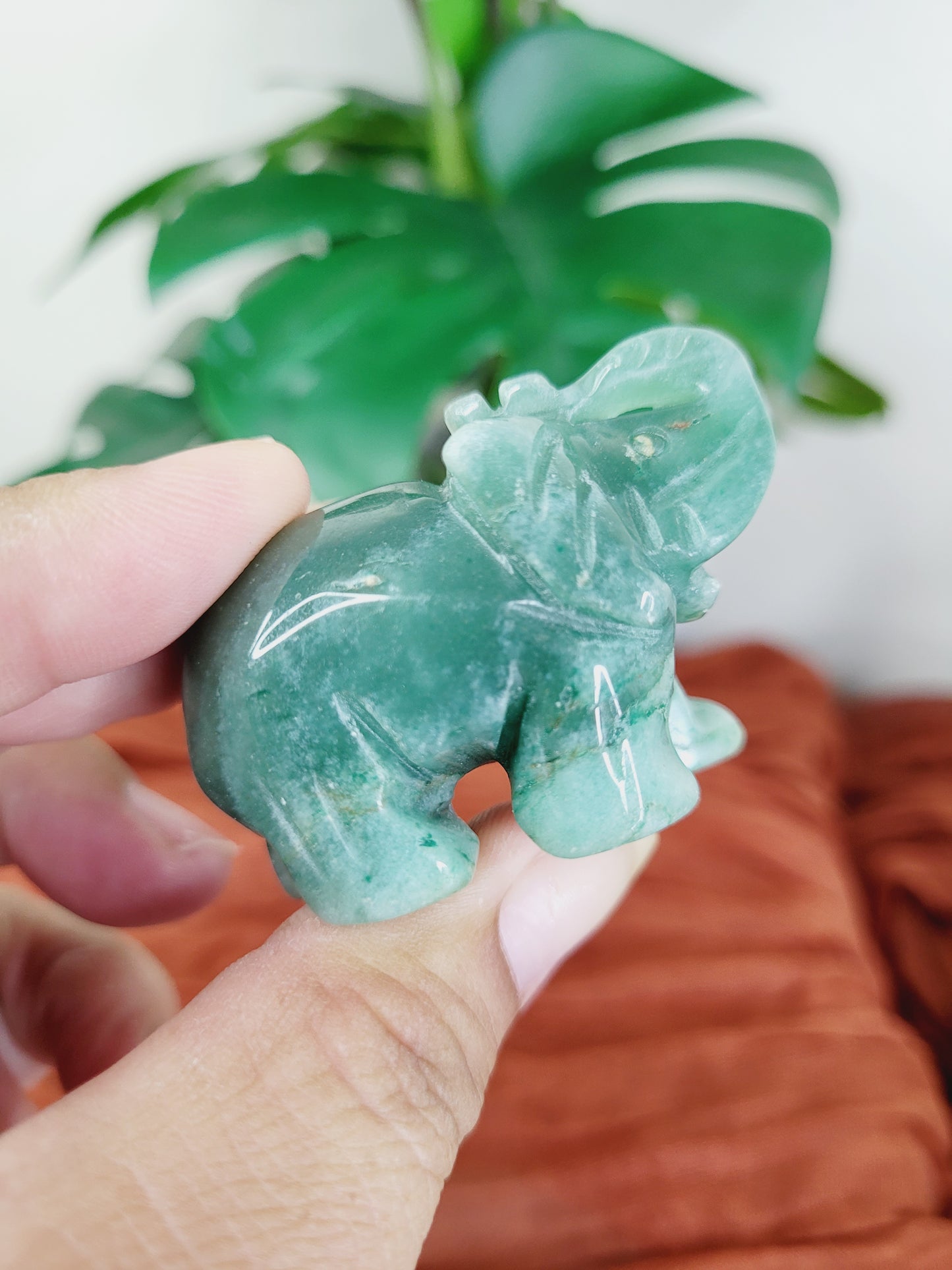 Elephant Carvings