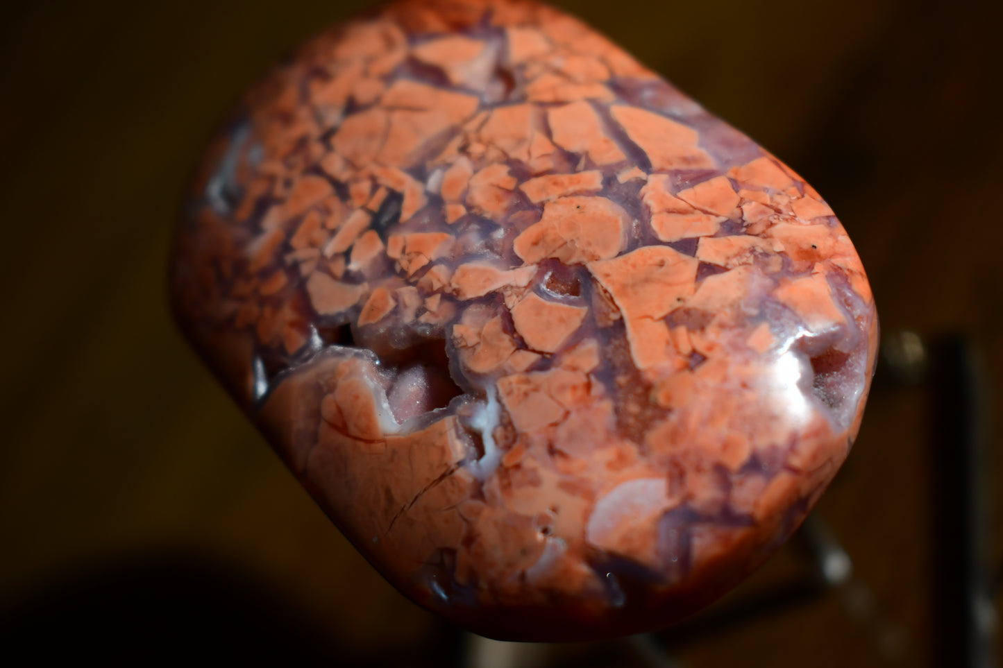 Pink Agate Palm