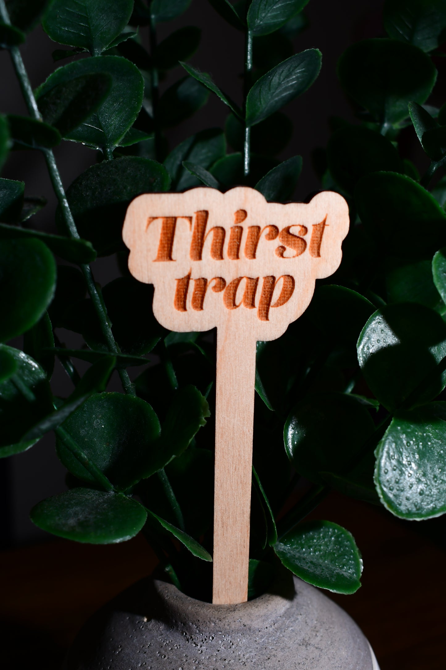 Funny Wooden Plant Marker - "Thirst Trap"