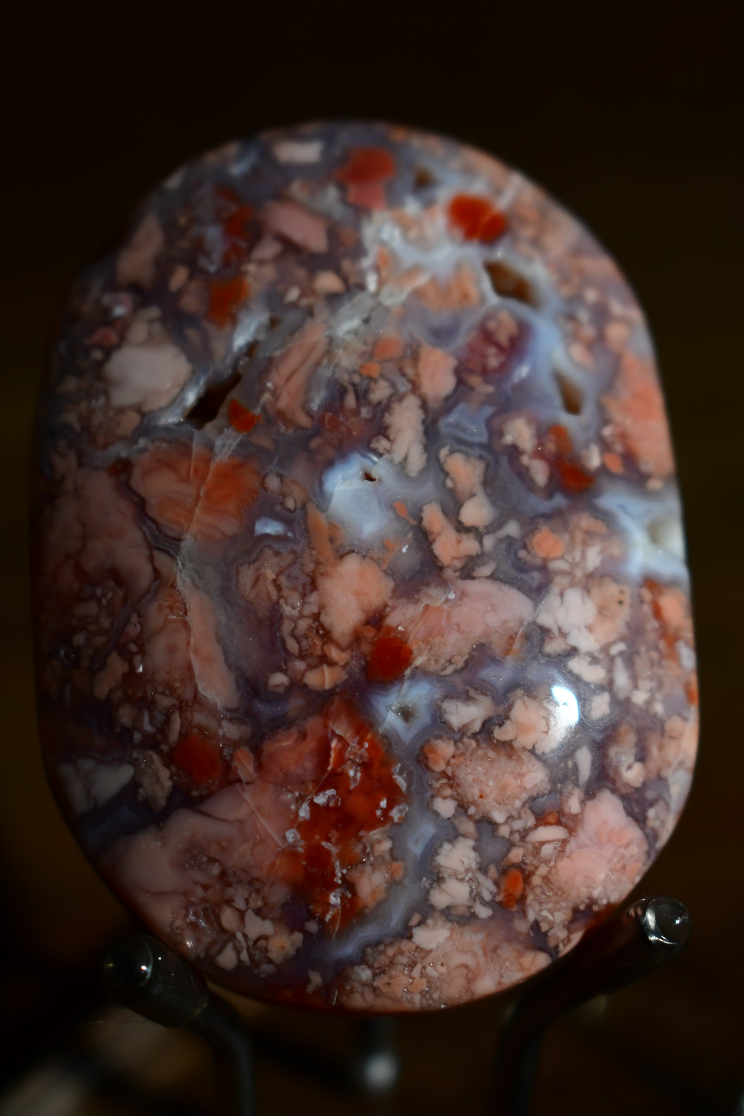 Pink Agate Palm