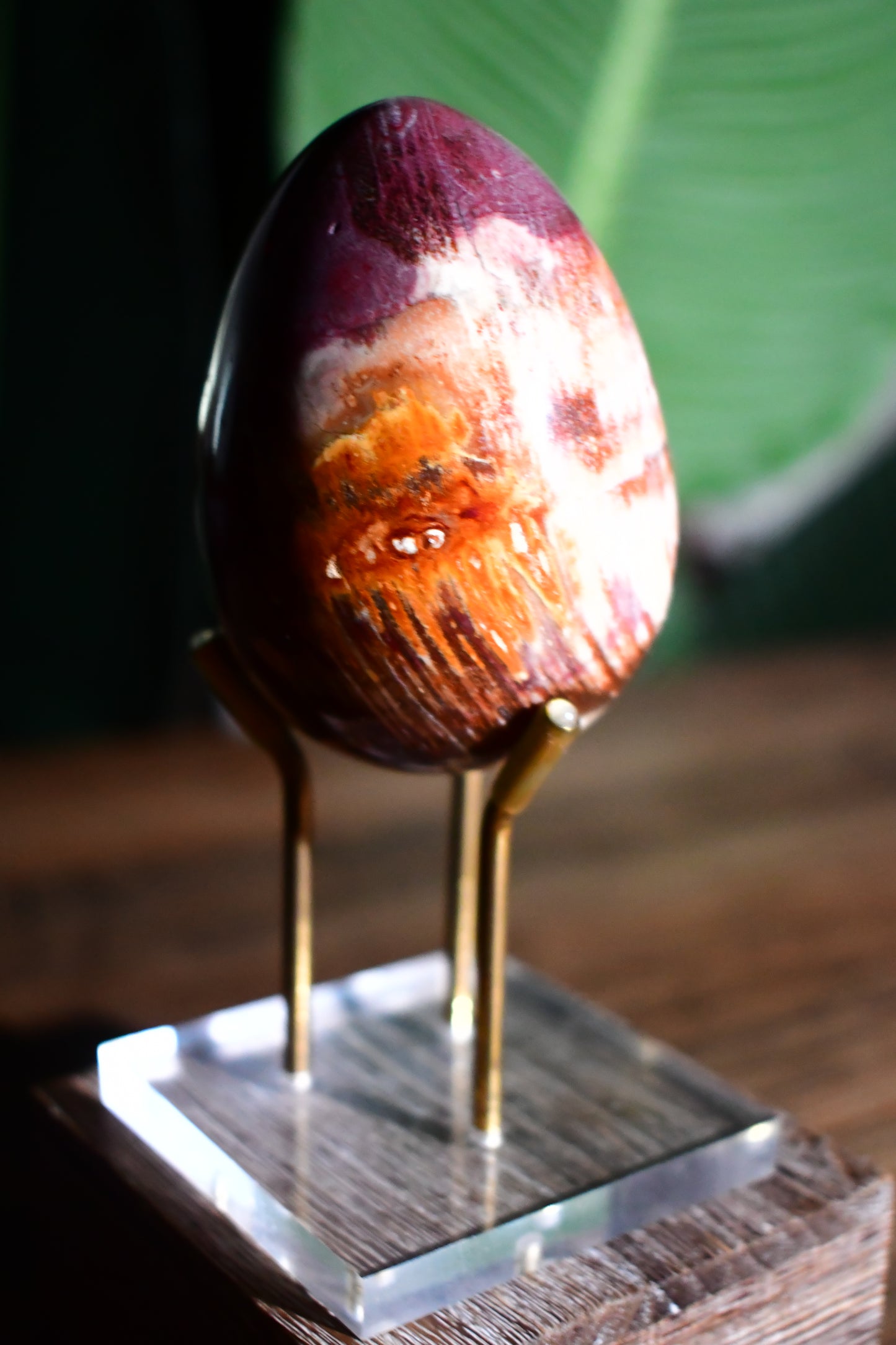 Petrified Wood Egg Carving