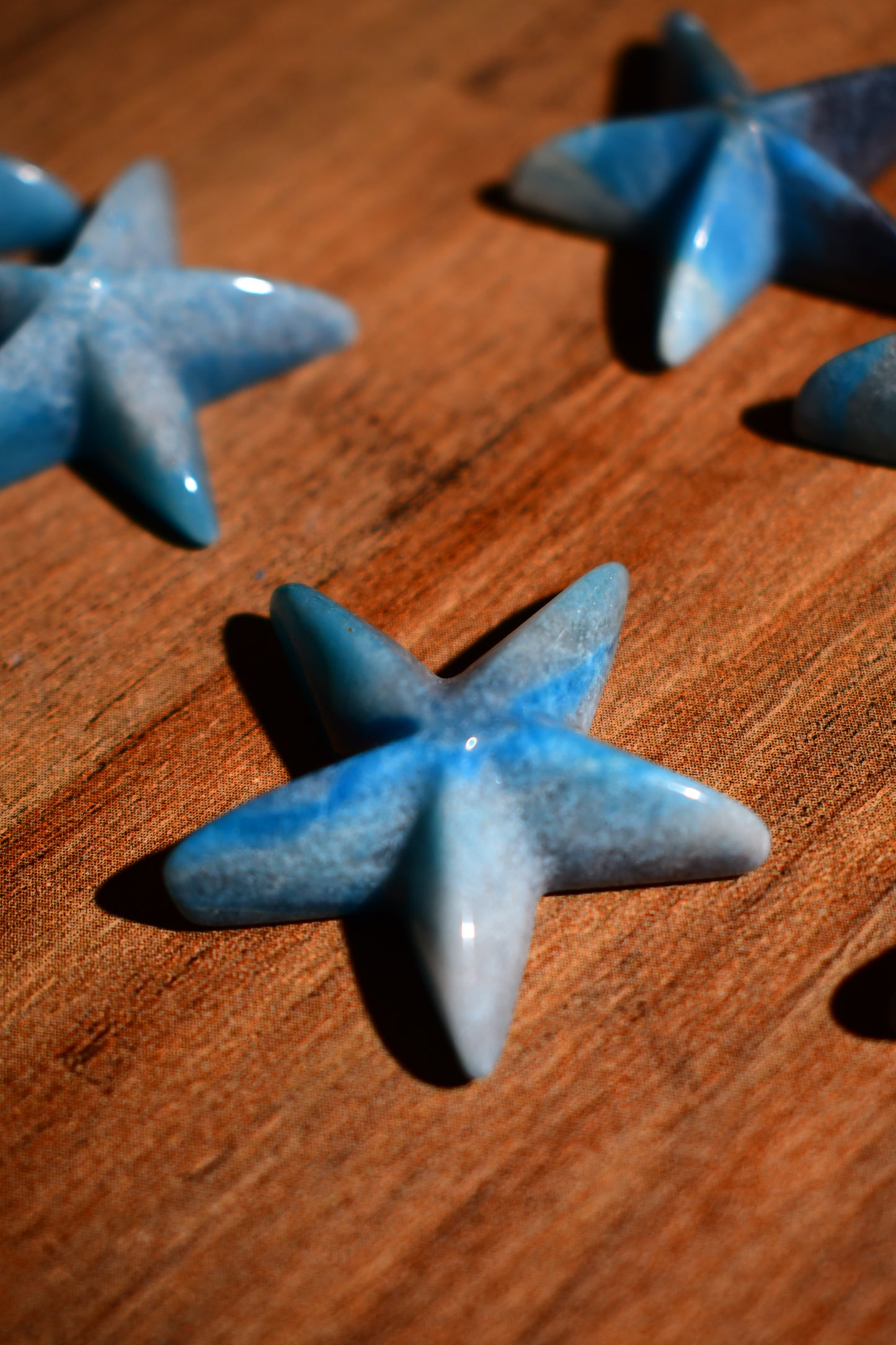 Mini Trolleite Starfish Carving