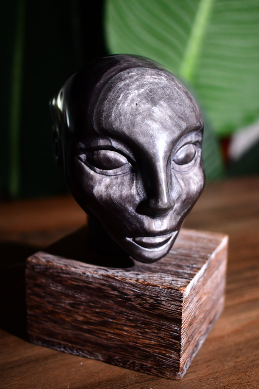 Silver Sheen Obsidian Divine Star Being