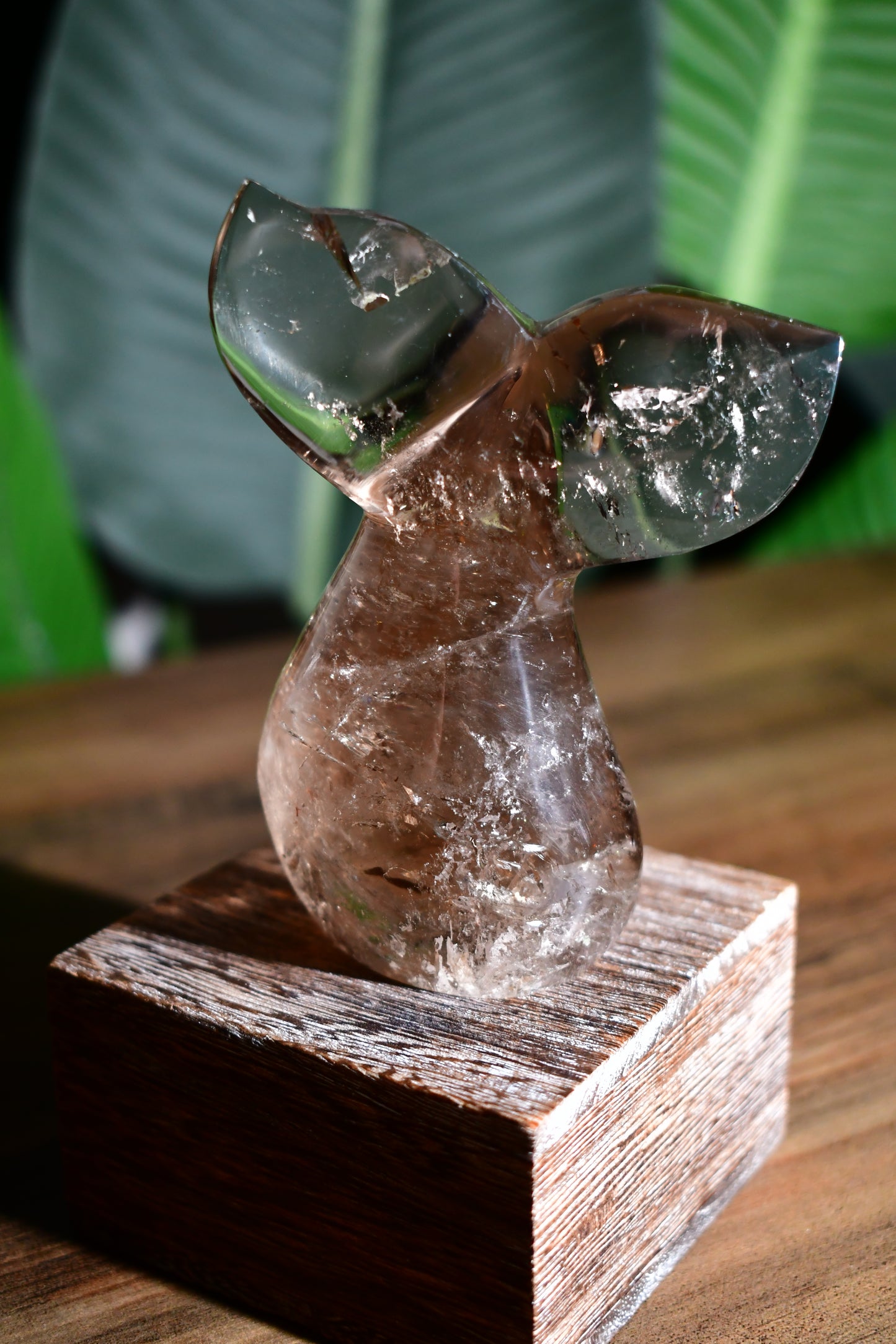 Smoky Quartz Whale Tail Carving 02