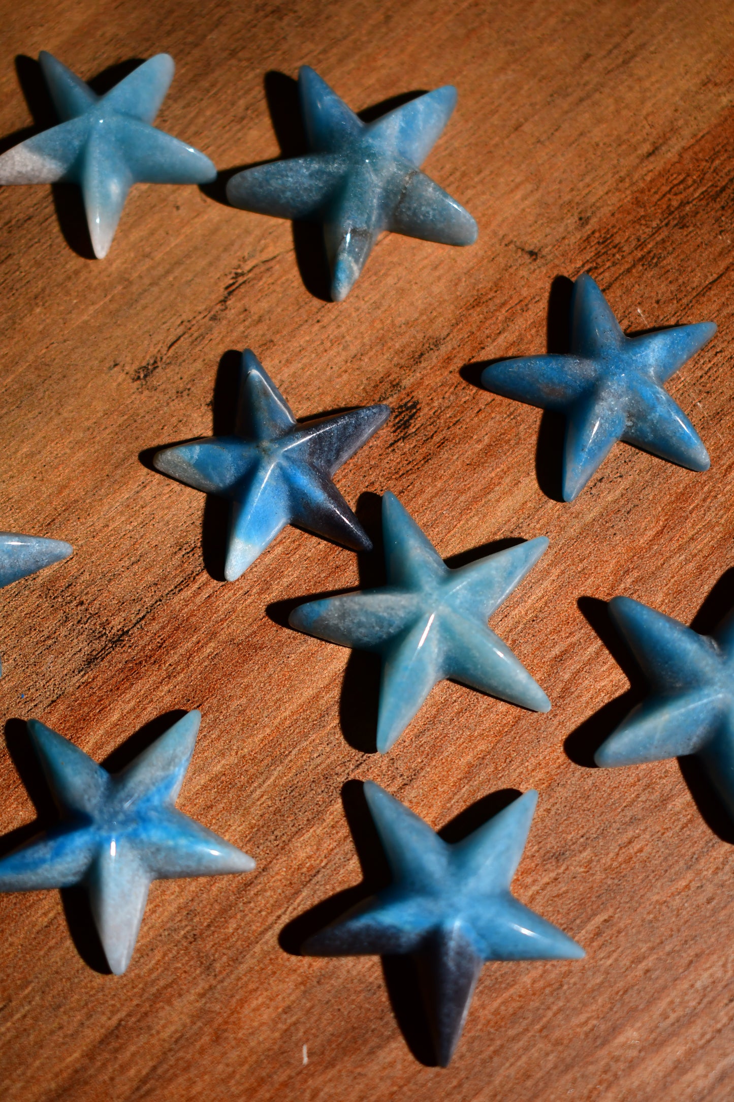 Mini Trolleite Starfish Carving