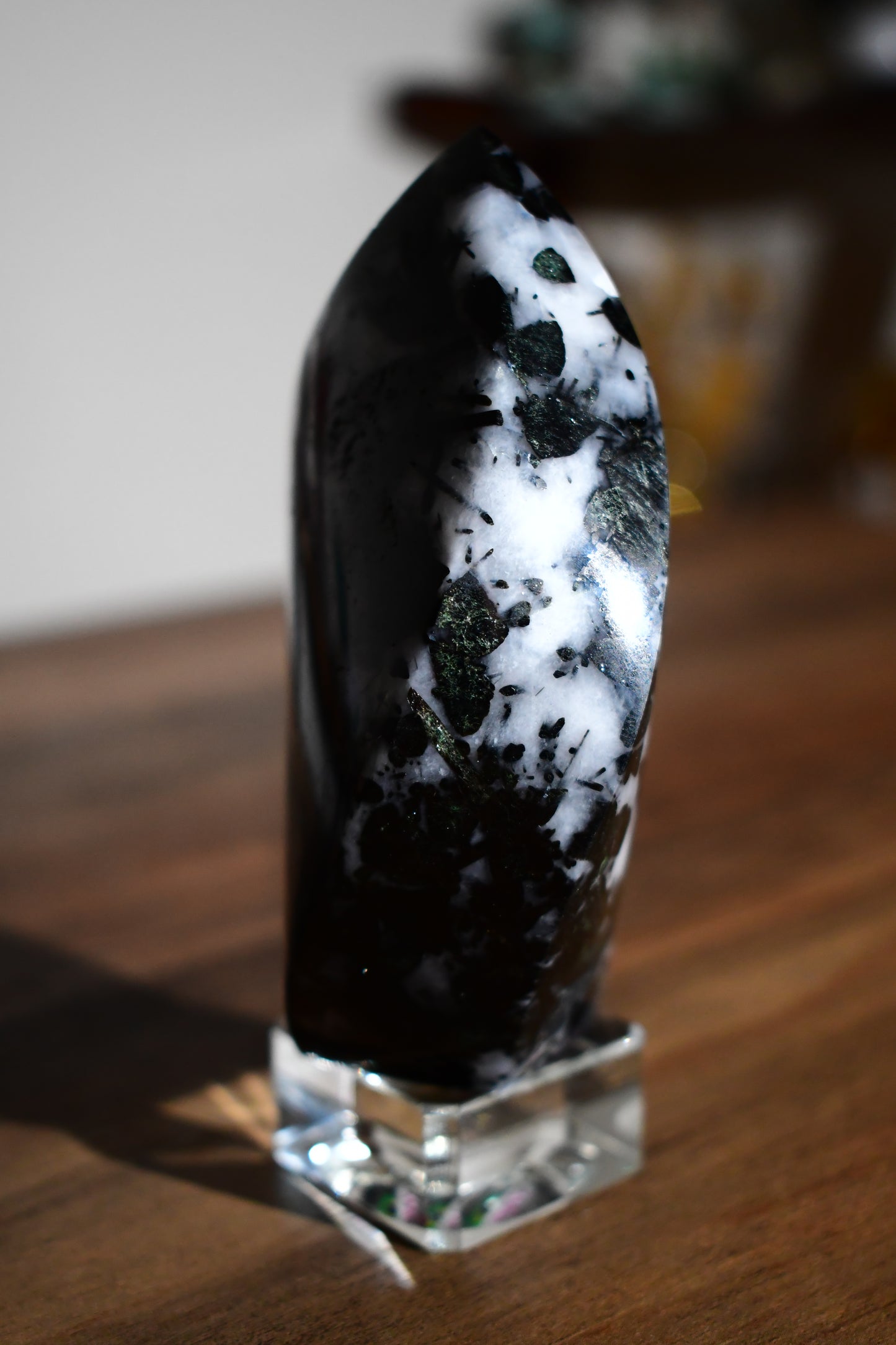 Black Tourmaline in Quartz