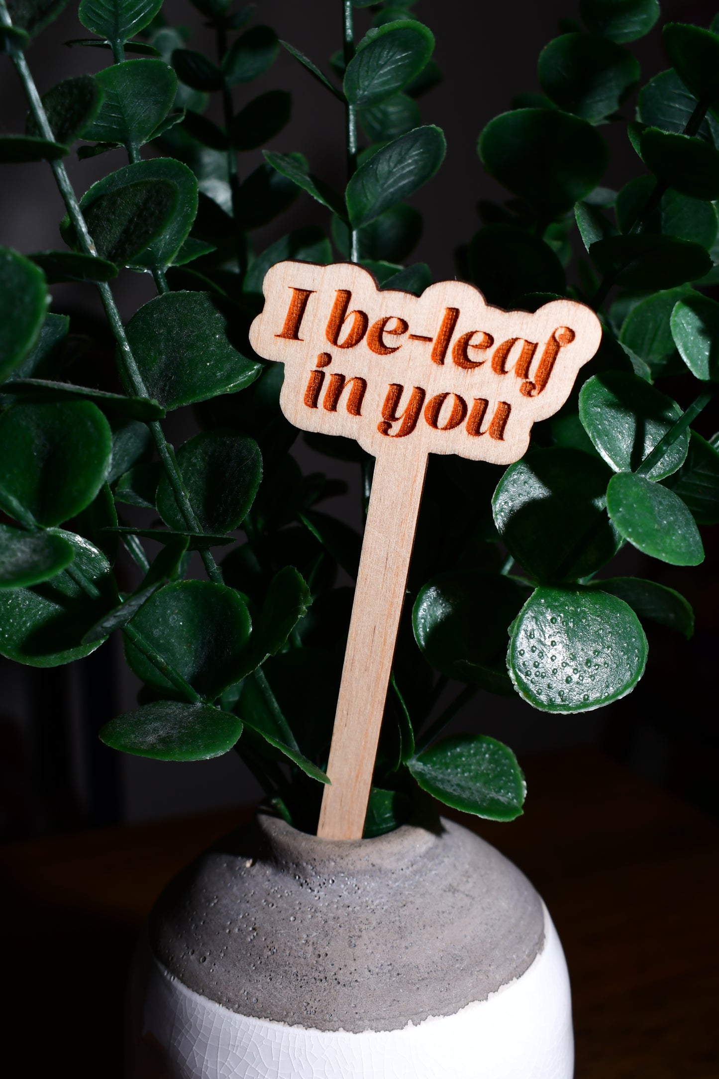 Funny Wooden Plant Markers - "I Be-Leaf in You"