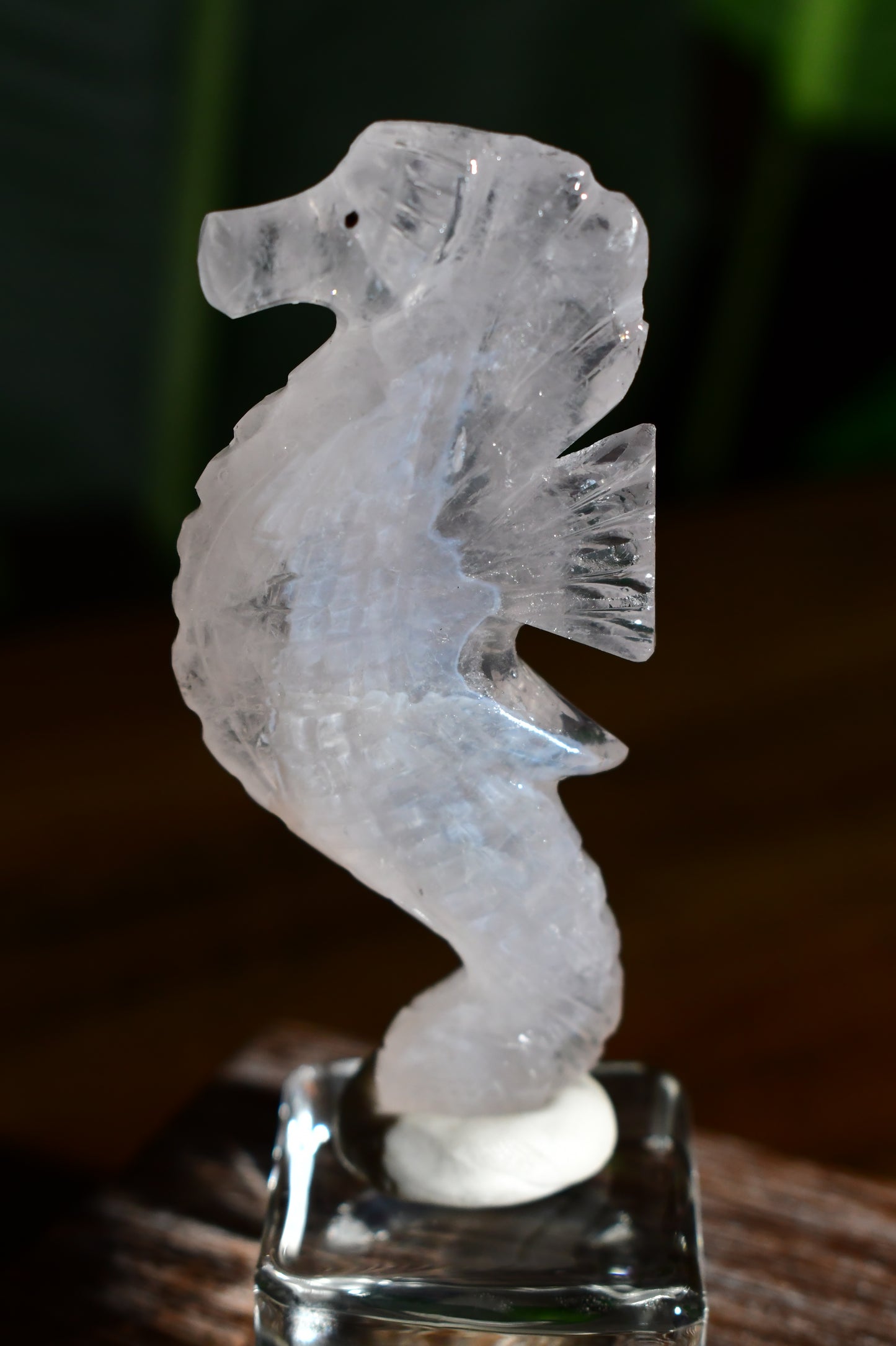 Clear Quartz Girasol Seahorse