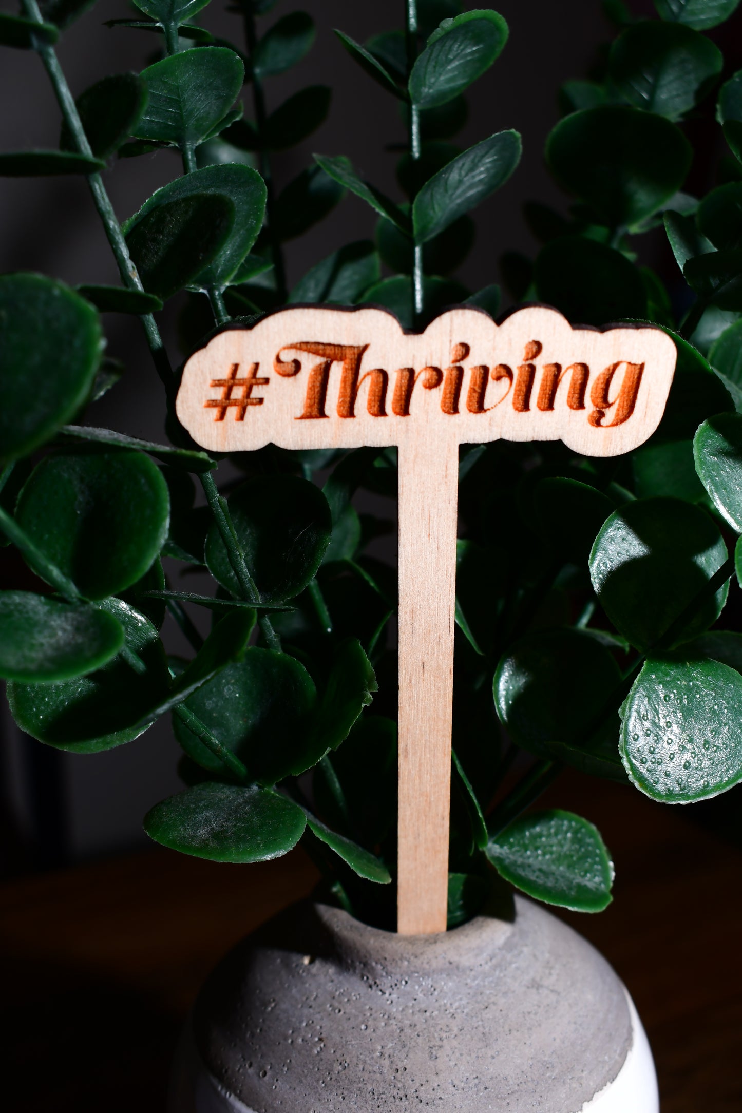 Funny Wooden Plant Marker - "#Thriving"