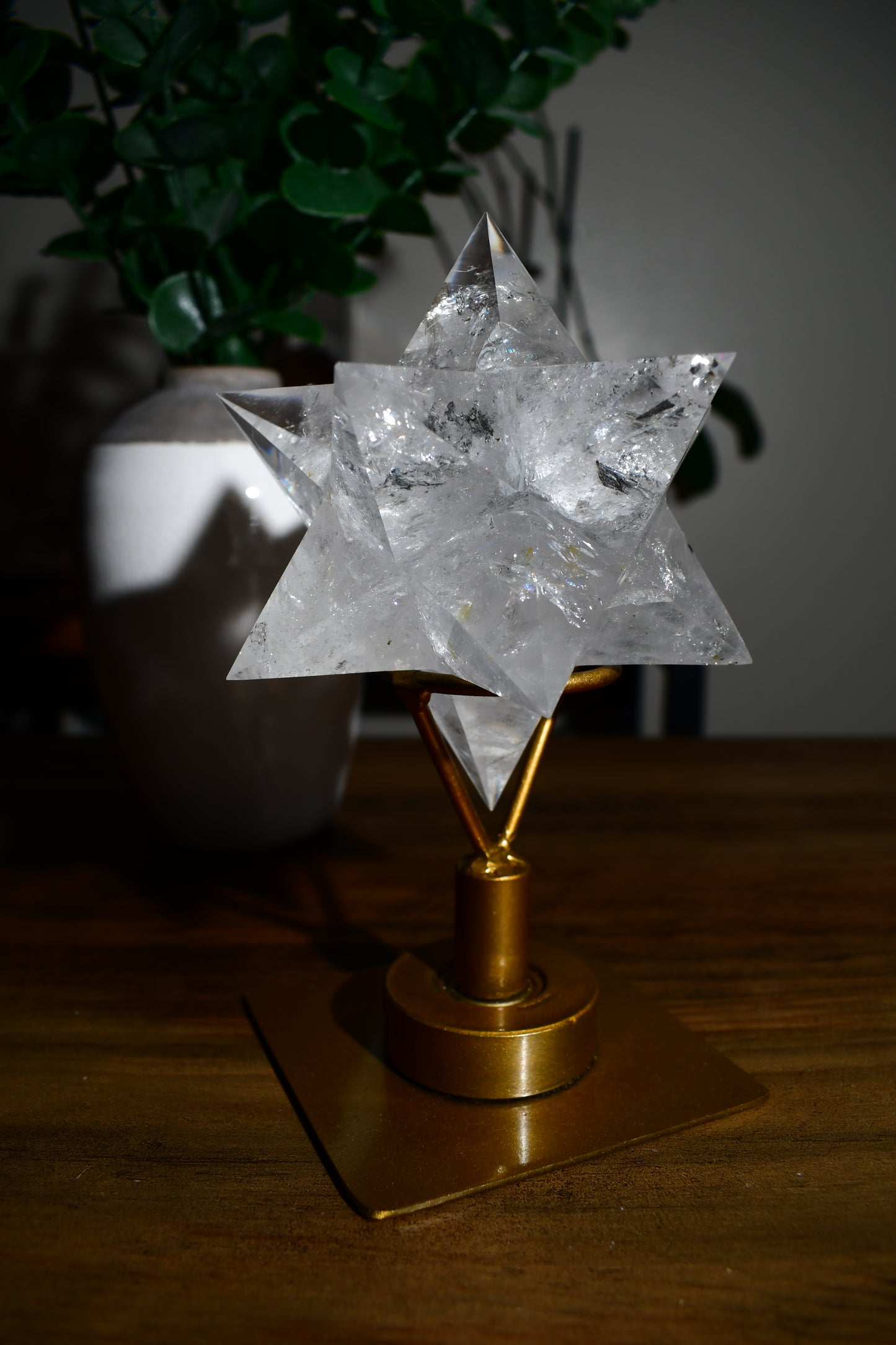 Lemurian Astroid Carving on Spinning Stand