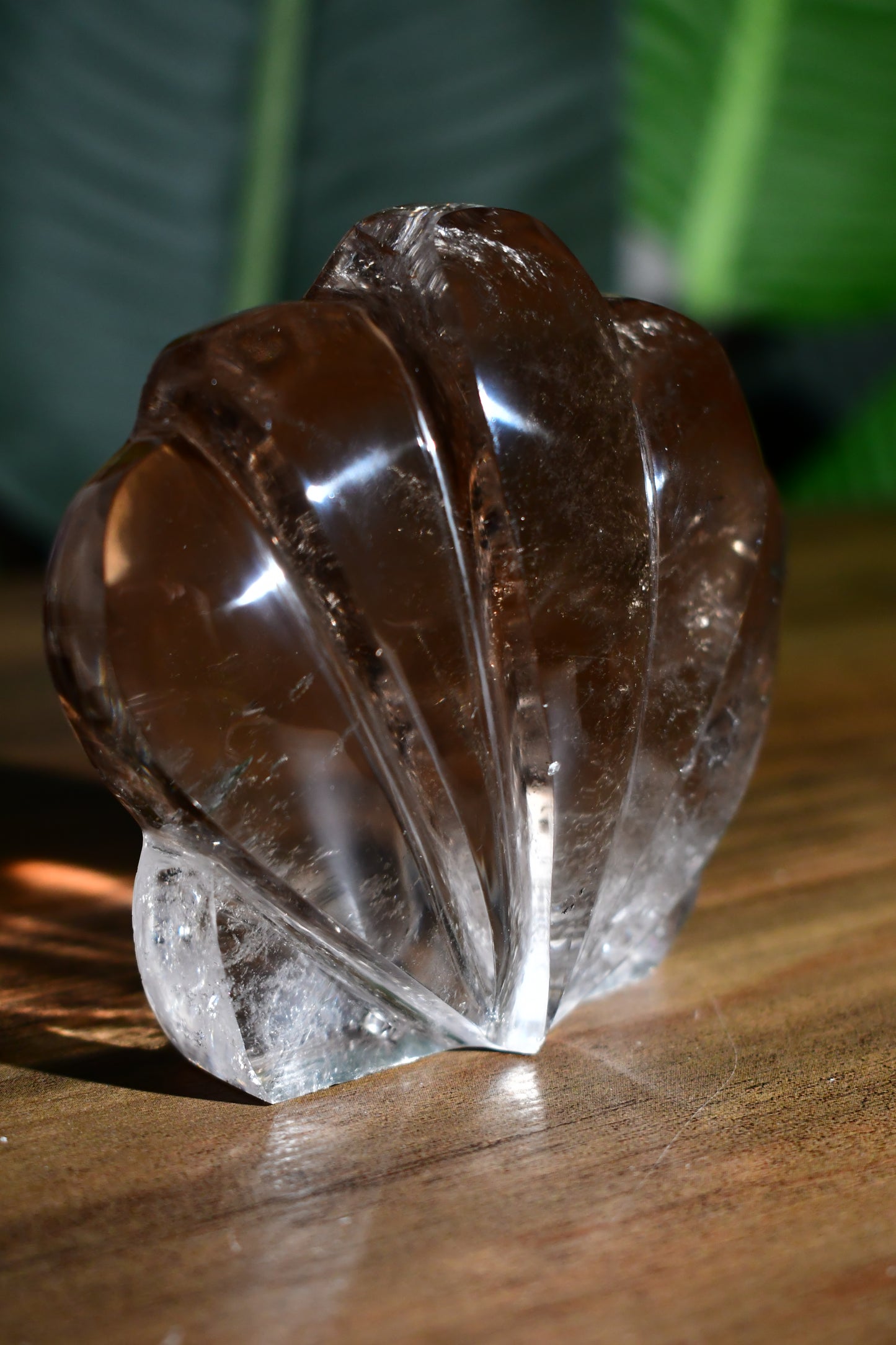 Smoky Quartz Self Standing Sunrise Seashell 02