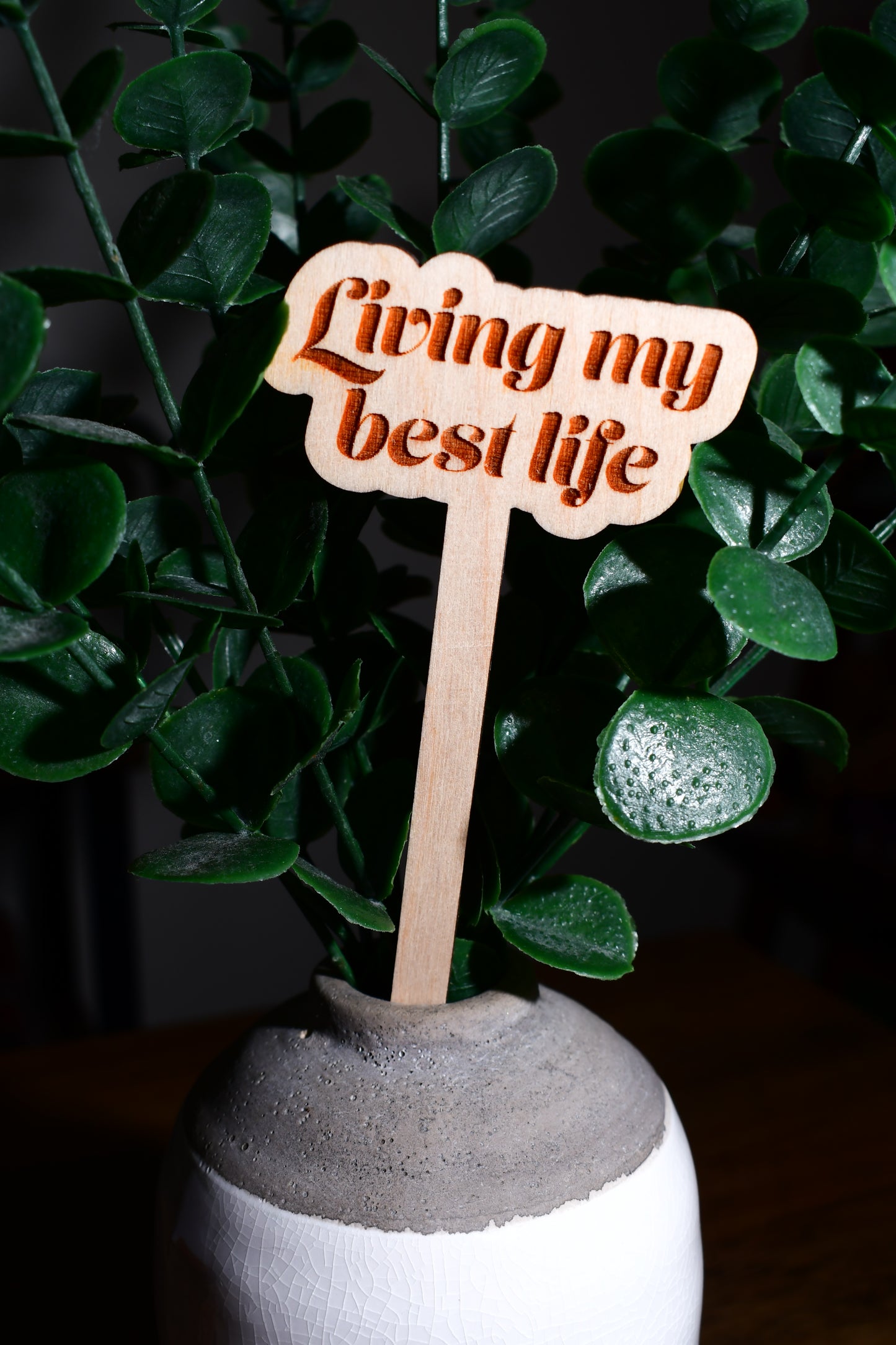 Funny Wooden Plant Markers "Living My Best Life"