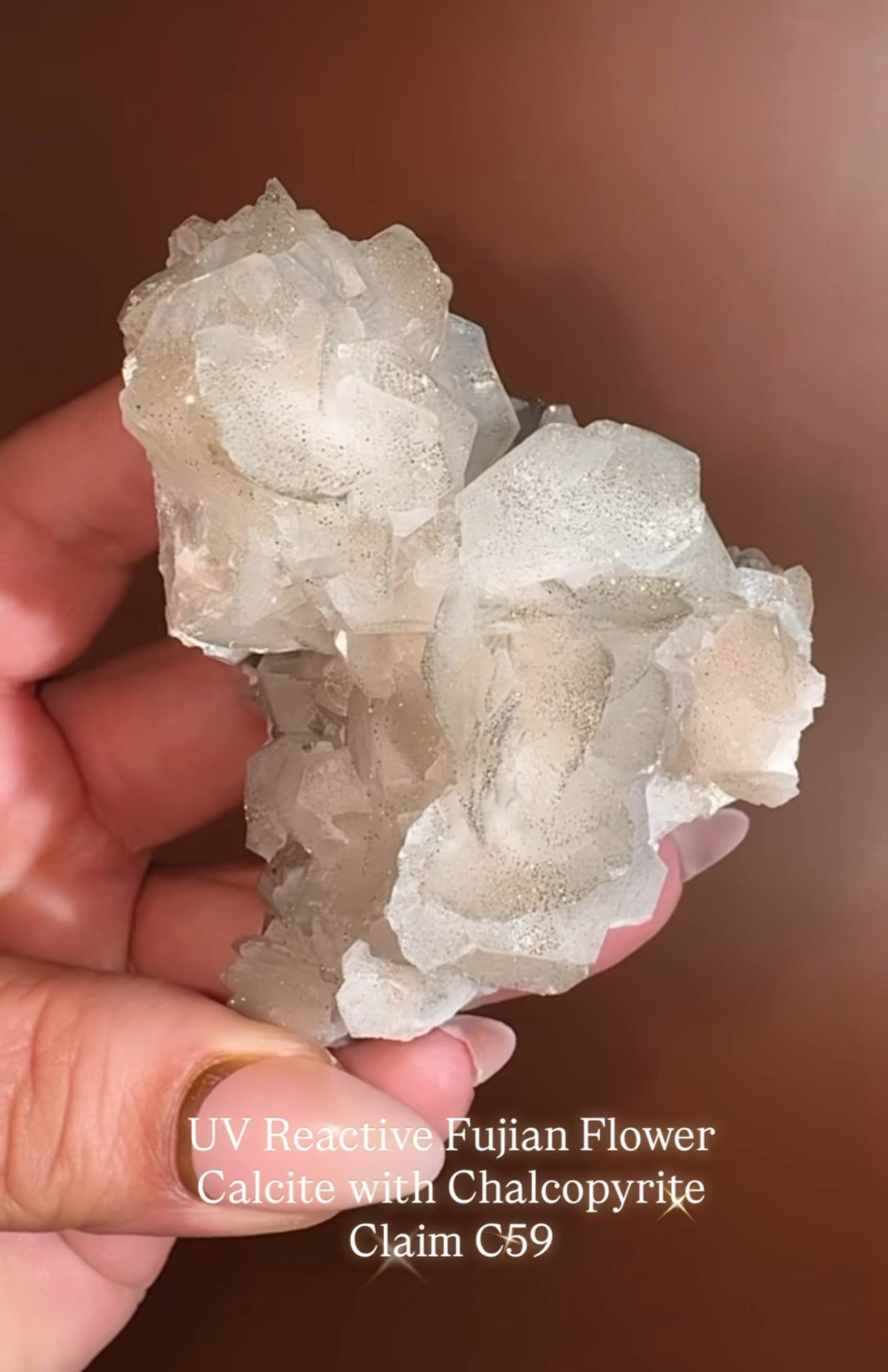 @terri.pish PP3 12.26