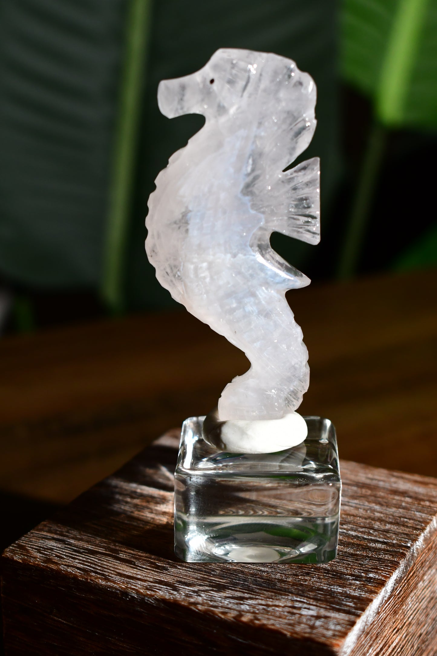 Clear Quartz Girasol Seahorse