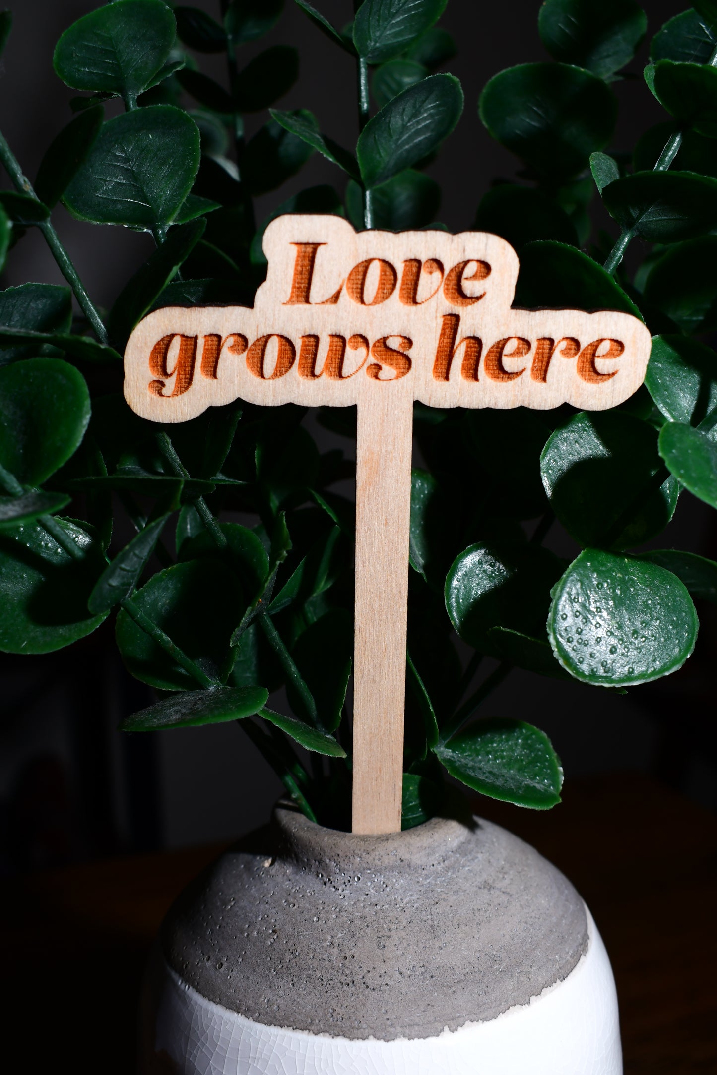 Funny Wooden Plant Markers - "Love Grows Here"