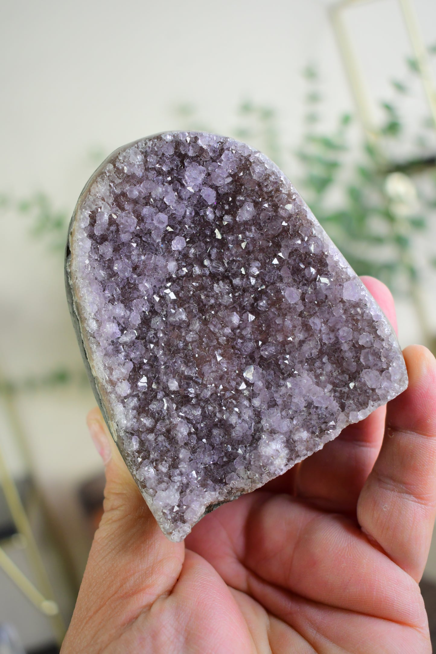 Druzy Amethyst Stalactite Cut Base/ Amethyst/ Calcite High Quality Crystals/ Gifts for Him/ Gifts for Her/ Healing Crystals/ Calming/ Purple