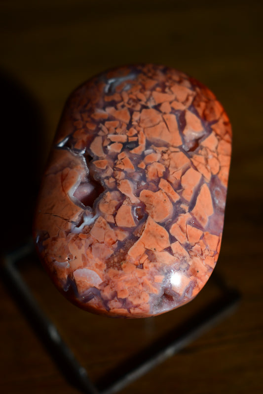 Pink Agate Palm